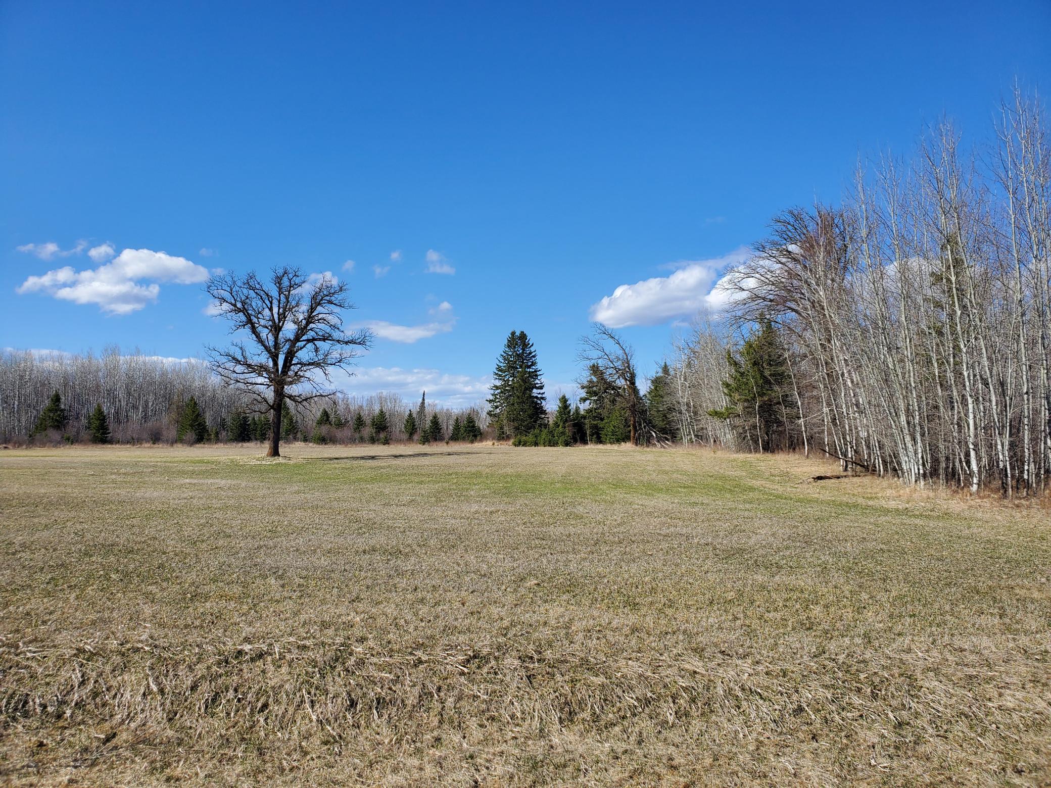7th image of Tbd Wildflower Lane Ne, Blackduck, MN 56630 | MLS# 7071034