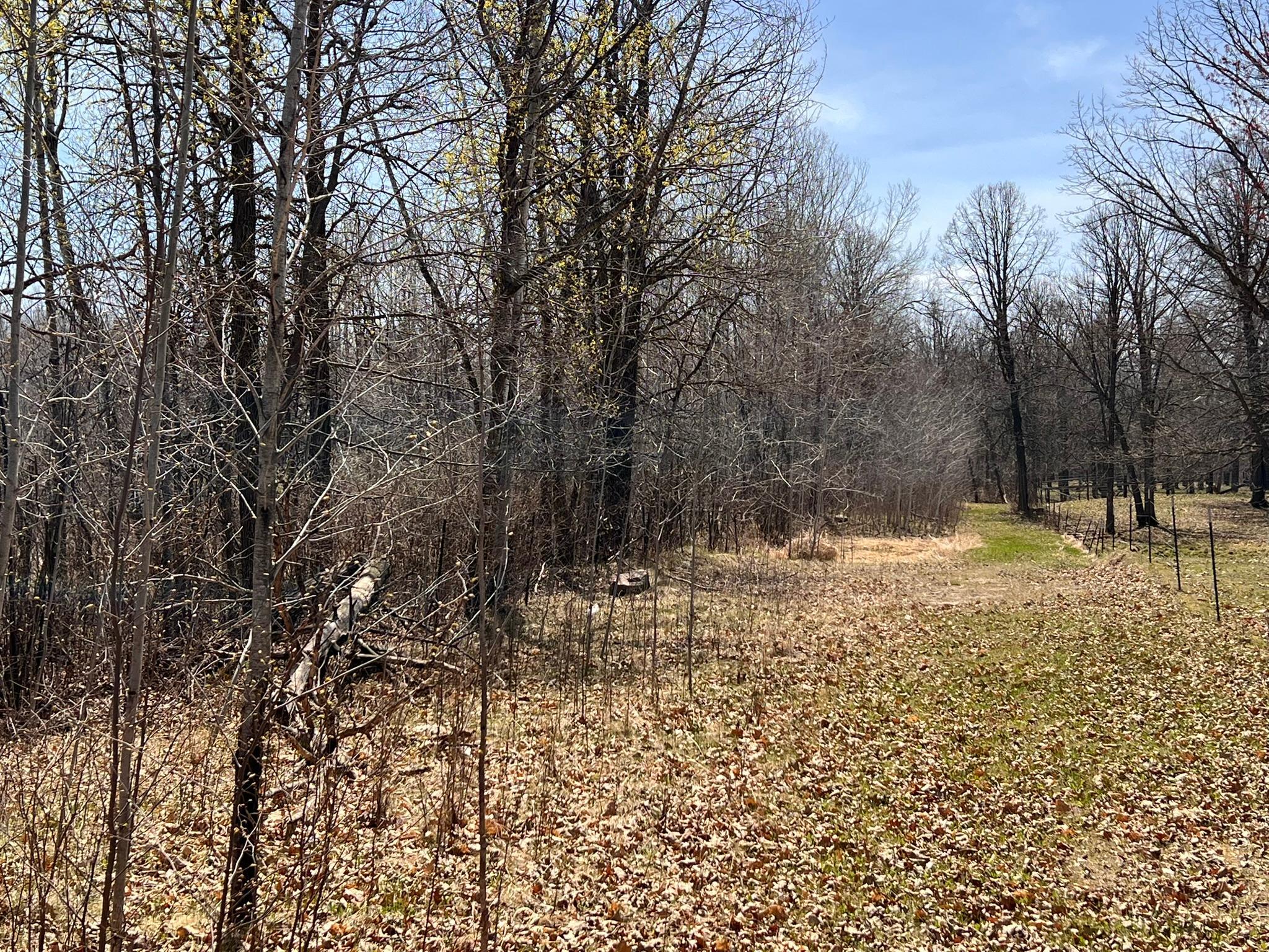 Homes for sale in Cass Lake, MN | Tbd Nw 148Th St, Cass Lake, MN 56633 | MLS# 7072547