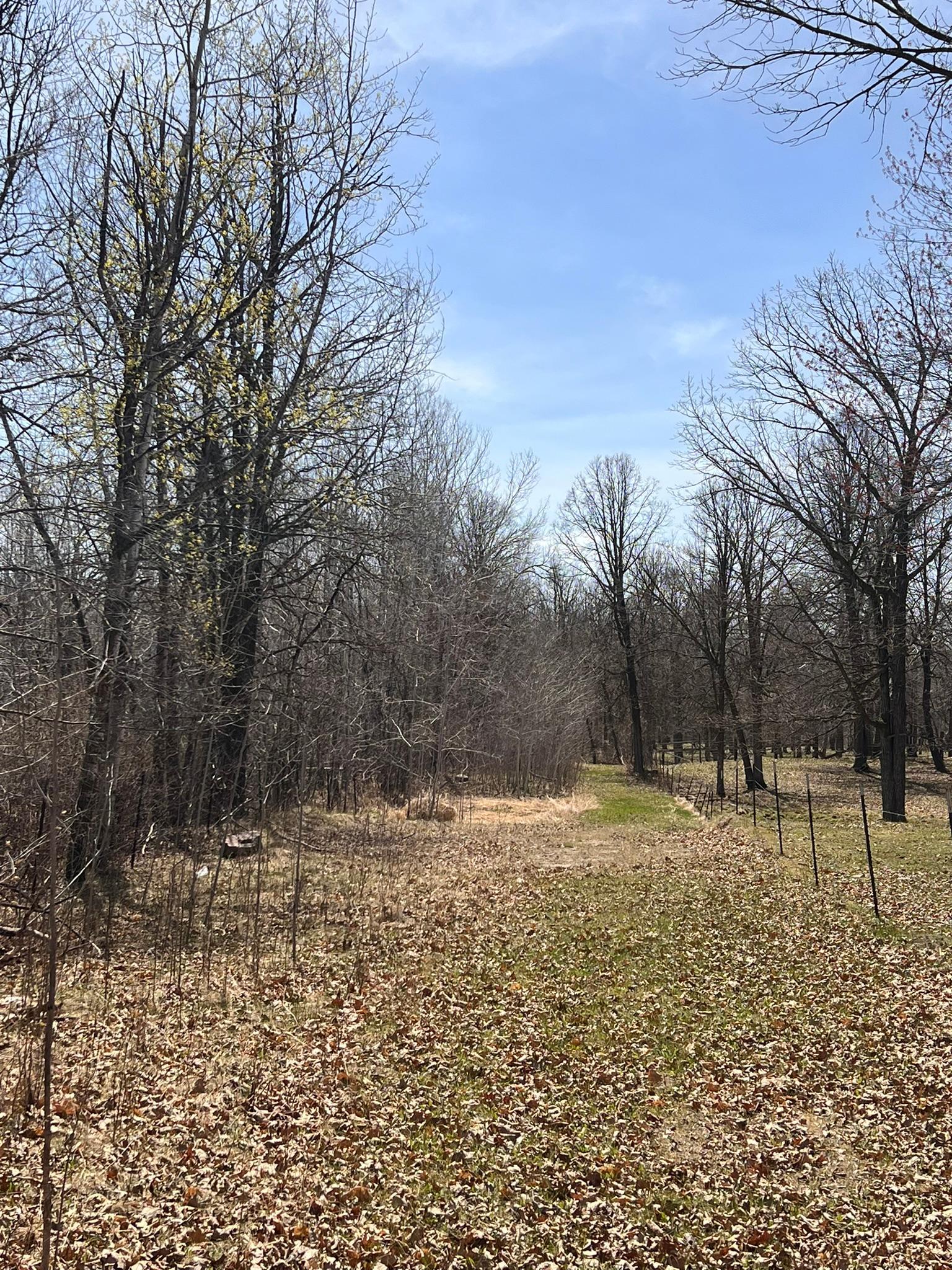 Homes for sale in Cass Lake, MN | Tbd Nw 148th St, Cass Lake, MN 56633 | MLS# 7072547