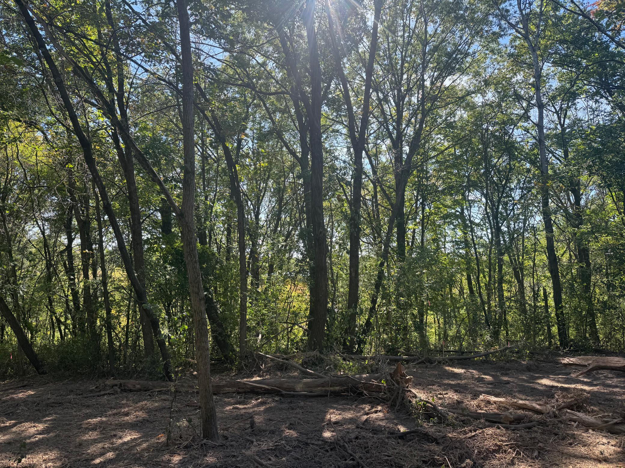 2nd image of 6167 Lake Dr, Prior Lake, MN 55372 | MLS# 7073304