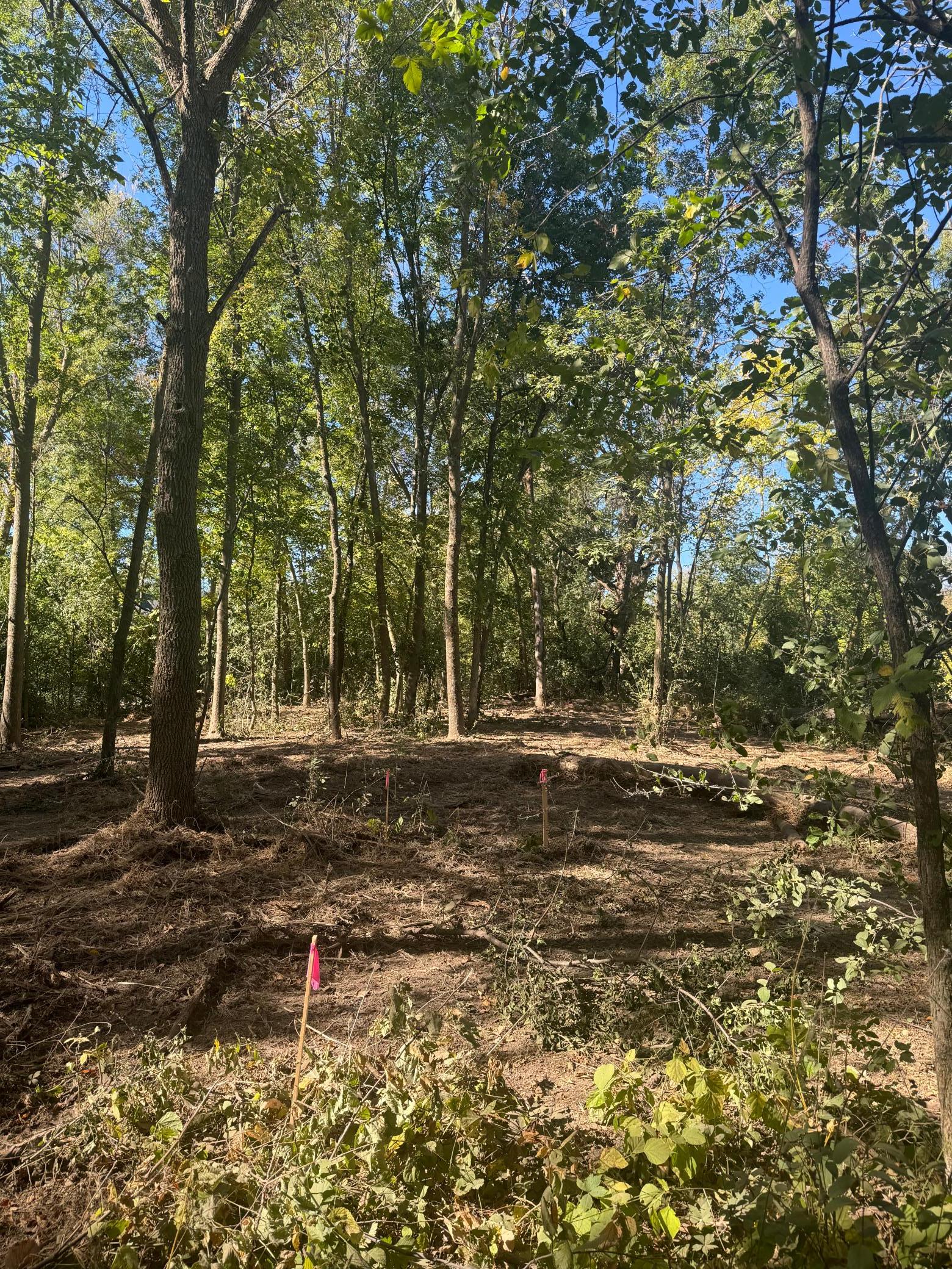 20th image of 6167 Lake Dr, Prior Lake, MN 55372 | MLS# 7073304