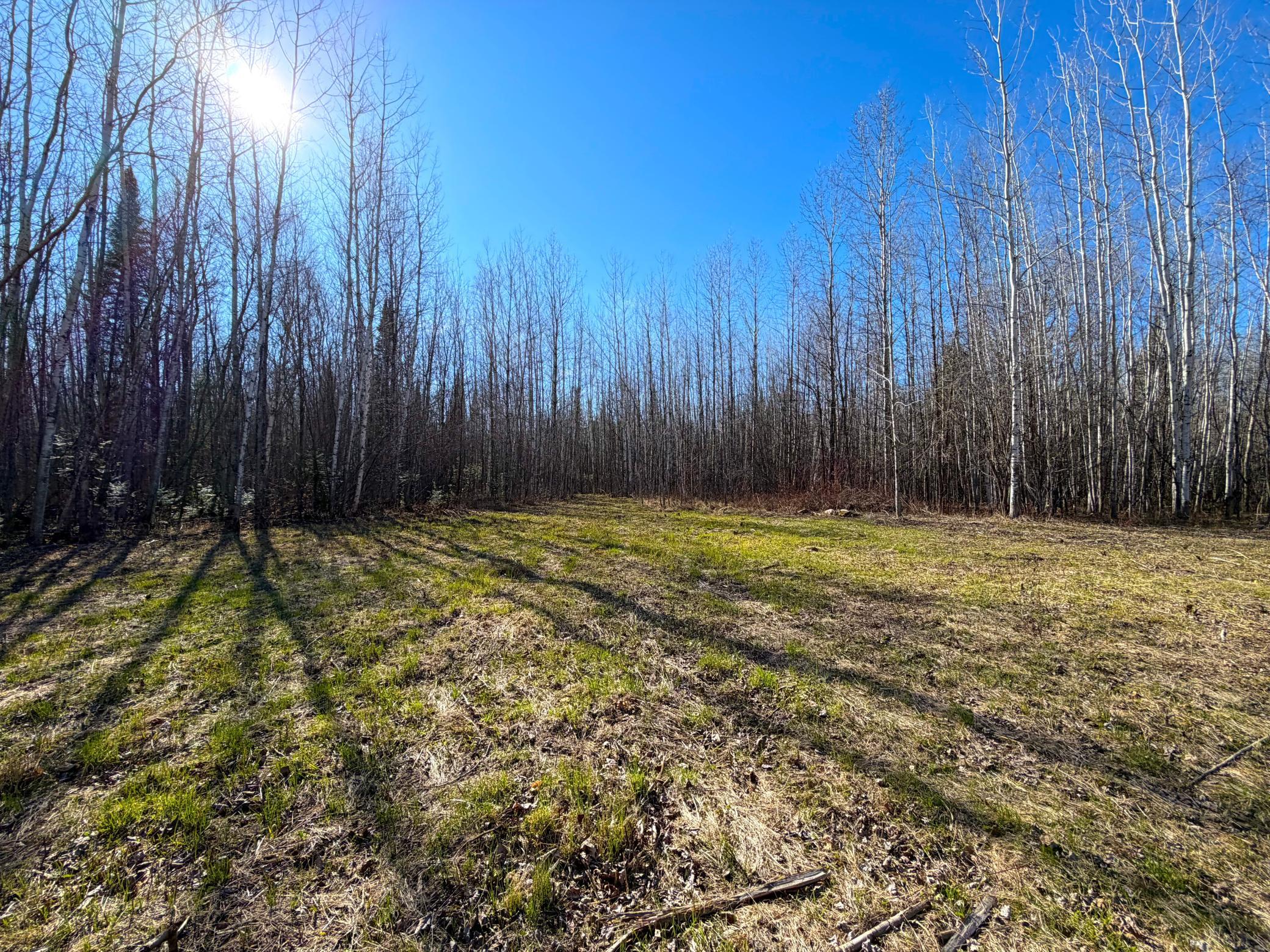 Homes for sale in Littlefork, MN | Lot F County Road 79, Littlefork, MN 56653 | MLS# 7073839