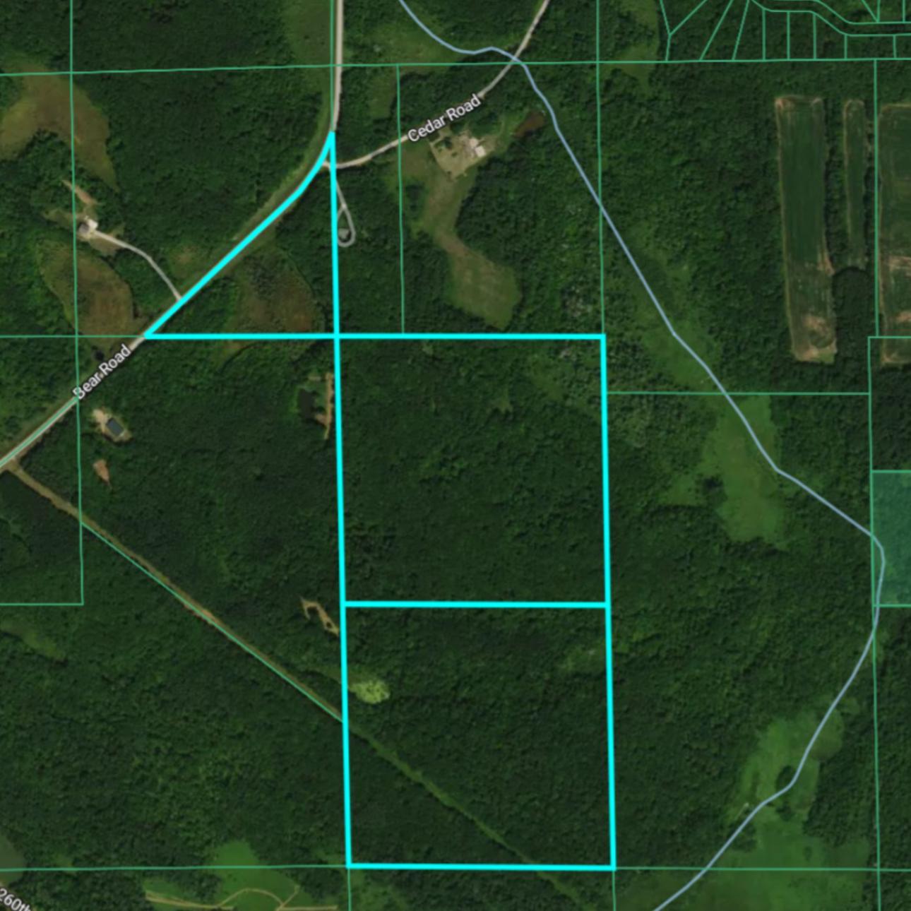 Homes for sale in Cushing, MN | Tbd Bear Rd, Cushing, MN 56443 | MLS# 7073886