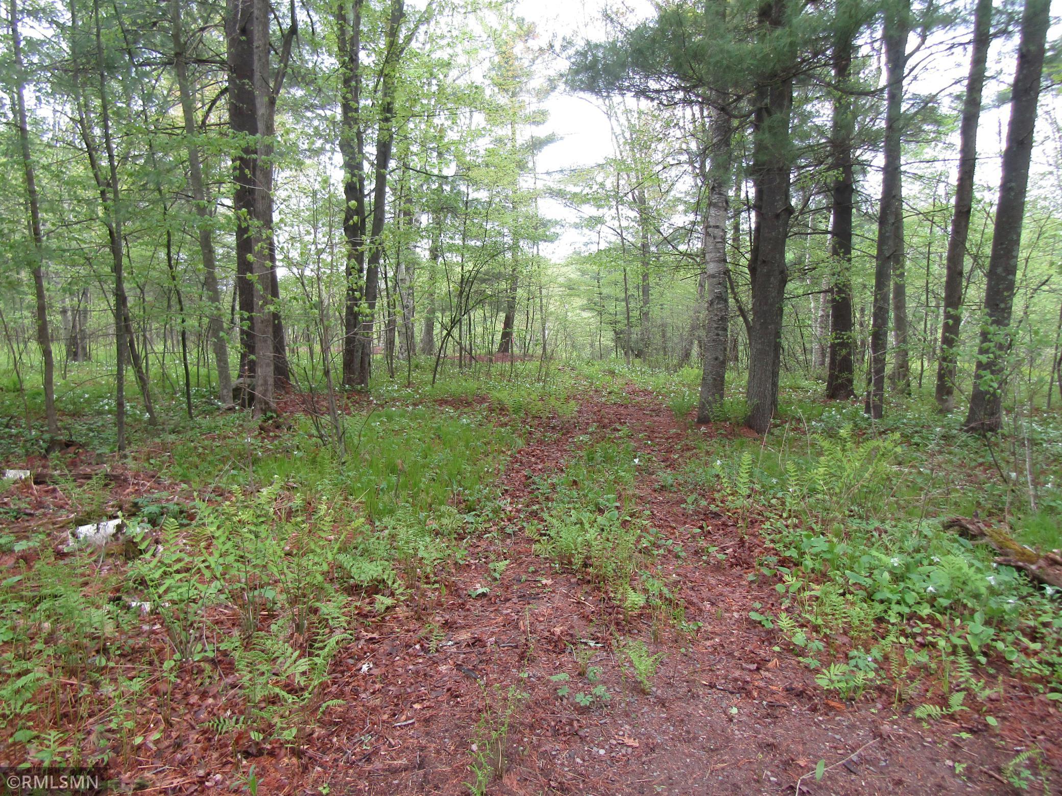 3rd image of 15442 Lofty Pines Rd, Pine City, MN 55063 | MLS# 7074236