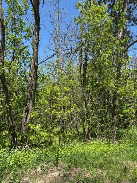 5th image of Xxx S Adams St, Saint Croix Falls, WI 54024 | MLS# 7075278