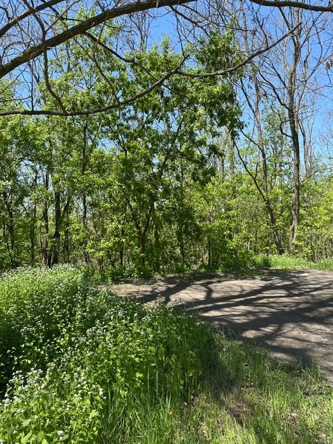 1st image of Xxx S Adams St, Saint Croix Falls, WI 54024 | MLS# 7075278