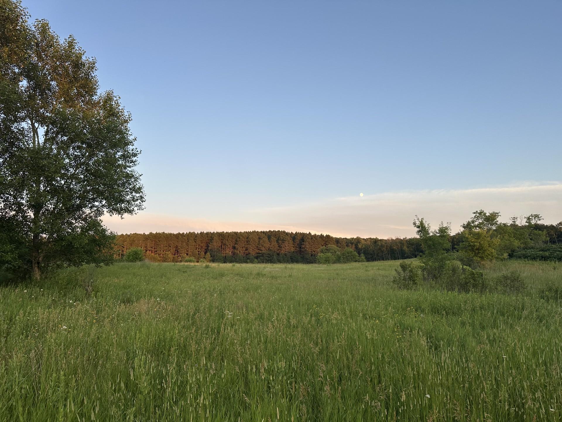 118th image of 22939 510th Ave, Henning, MN 56551 | MLS# 7075318