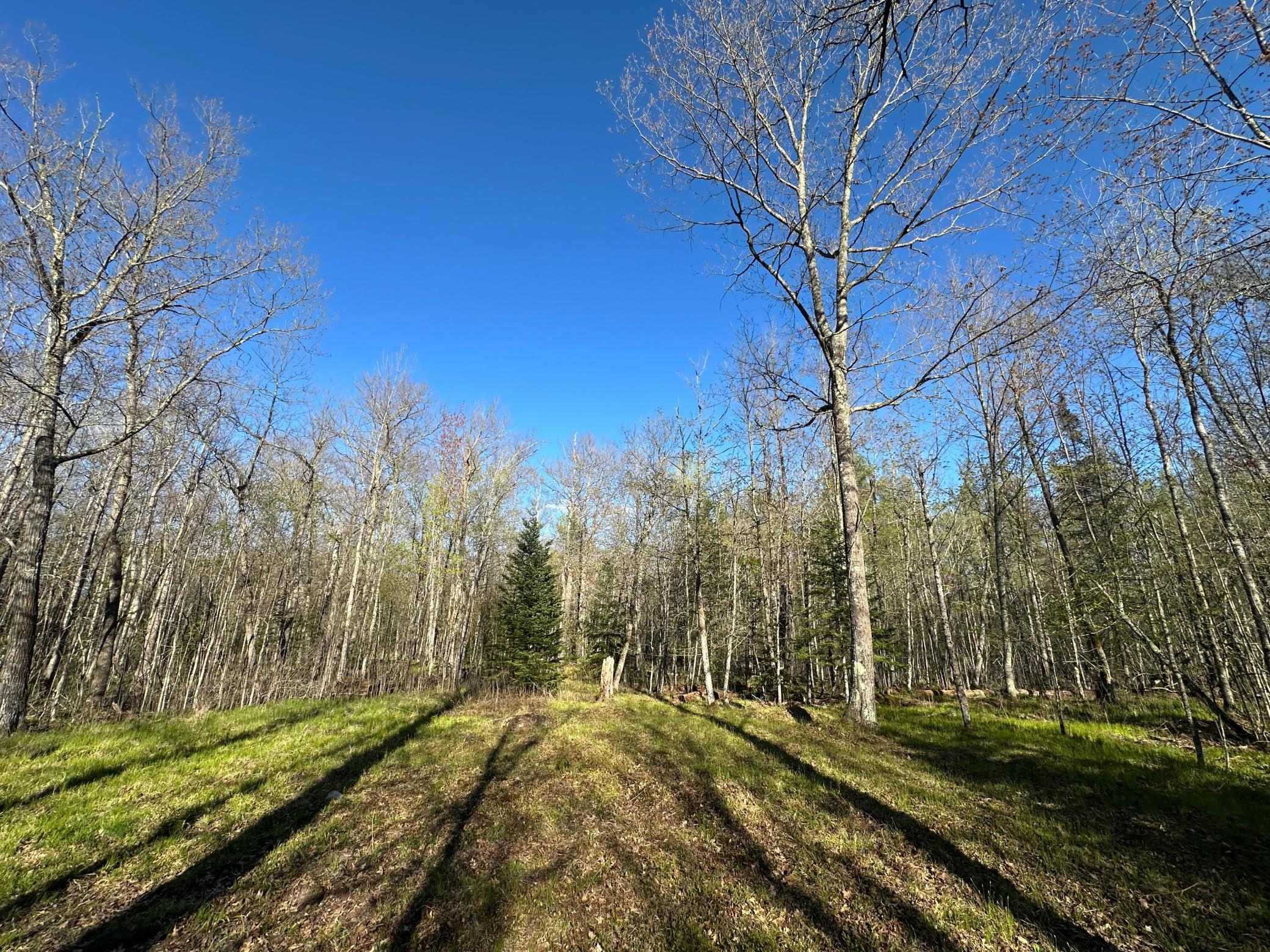 Homes for sale in Finlayson, MN | Tbd #1 110th Ave, Finlayson, MN 55735 | MLS# 7076499