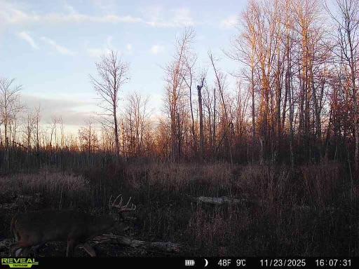 Homes for sale in Hinckley, MN | Xxx Fleming Logging Rd, Hinckley, MN 55037 | MLS# 7077710