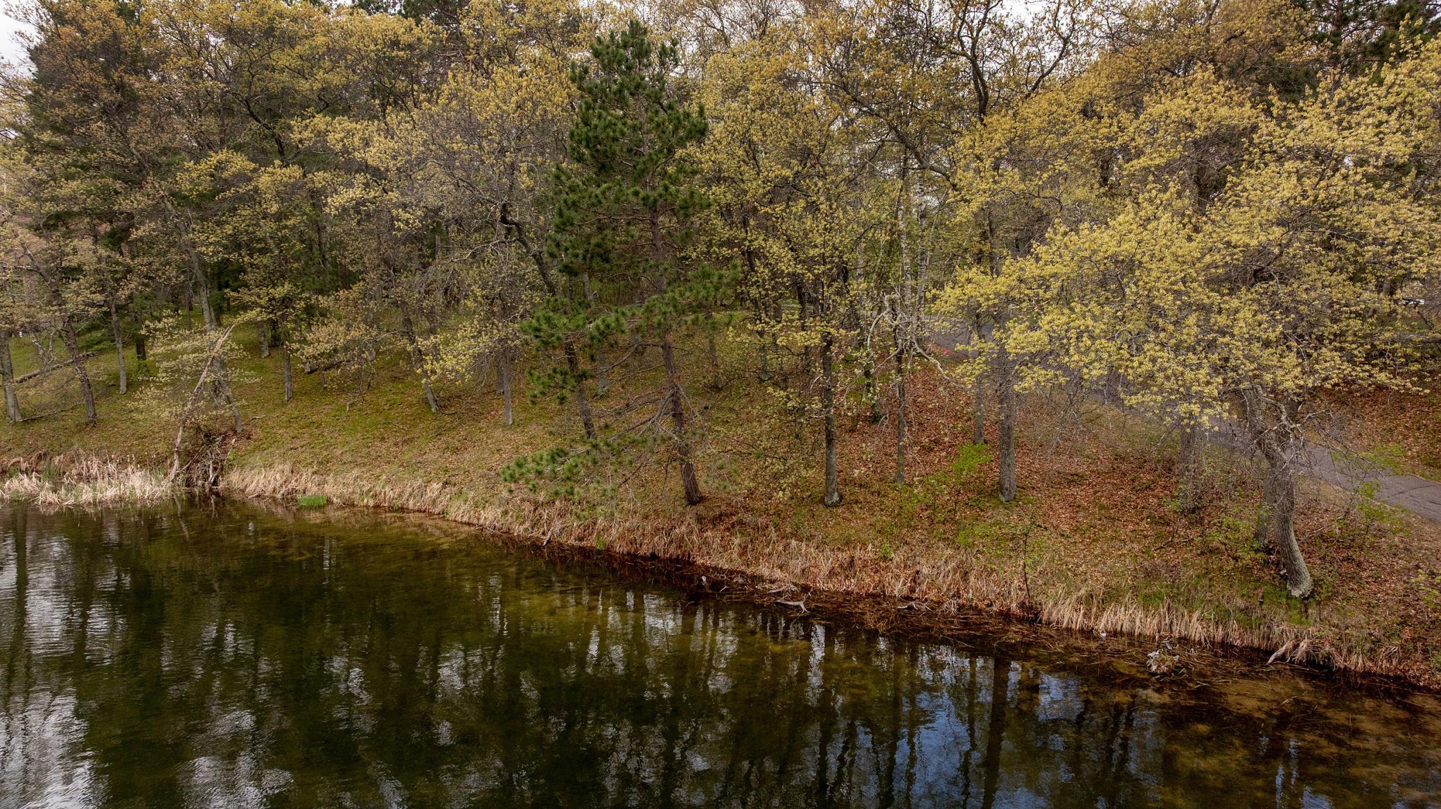 3rd image of Tbd Abc Dr, Crosslake, MN 56442 | MLS# 7078500