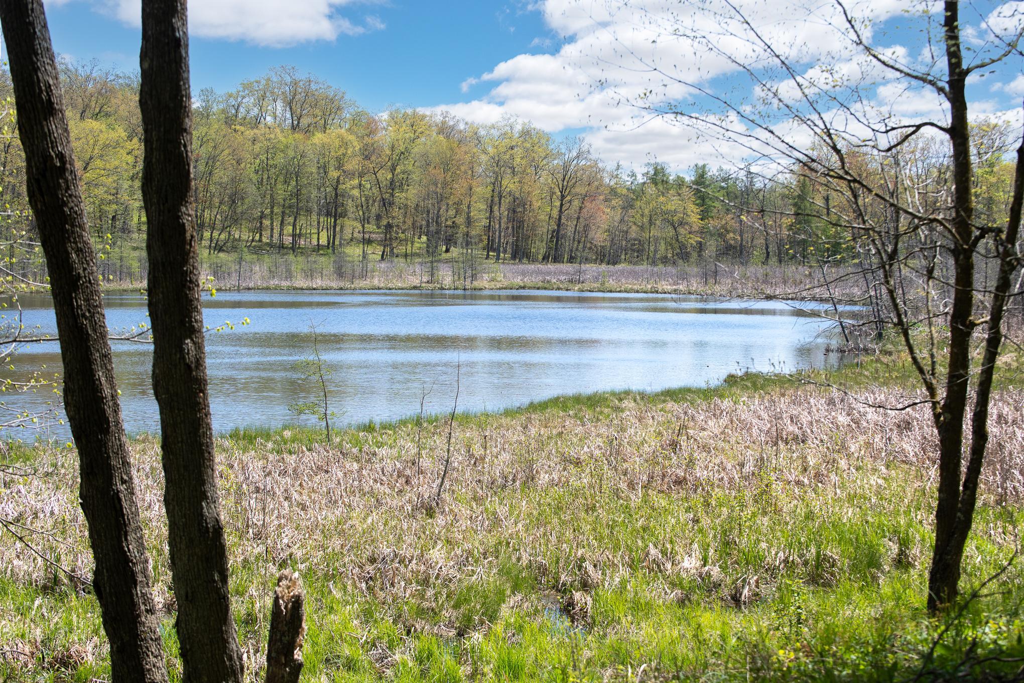 Homes for sale in Balsam Lake, WI | Tbd 170Th Ave/Cty Rd I, Balsam Lake, WI 54810 | MLS# 7079135