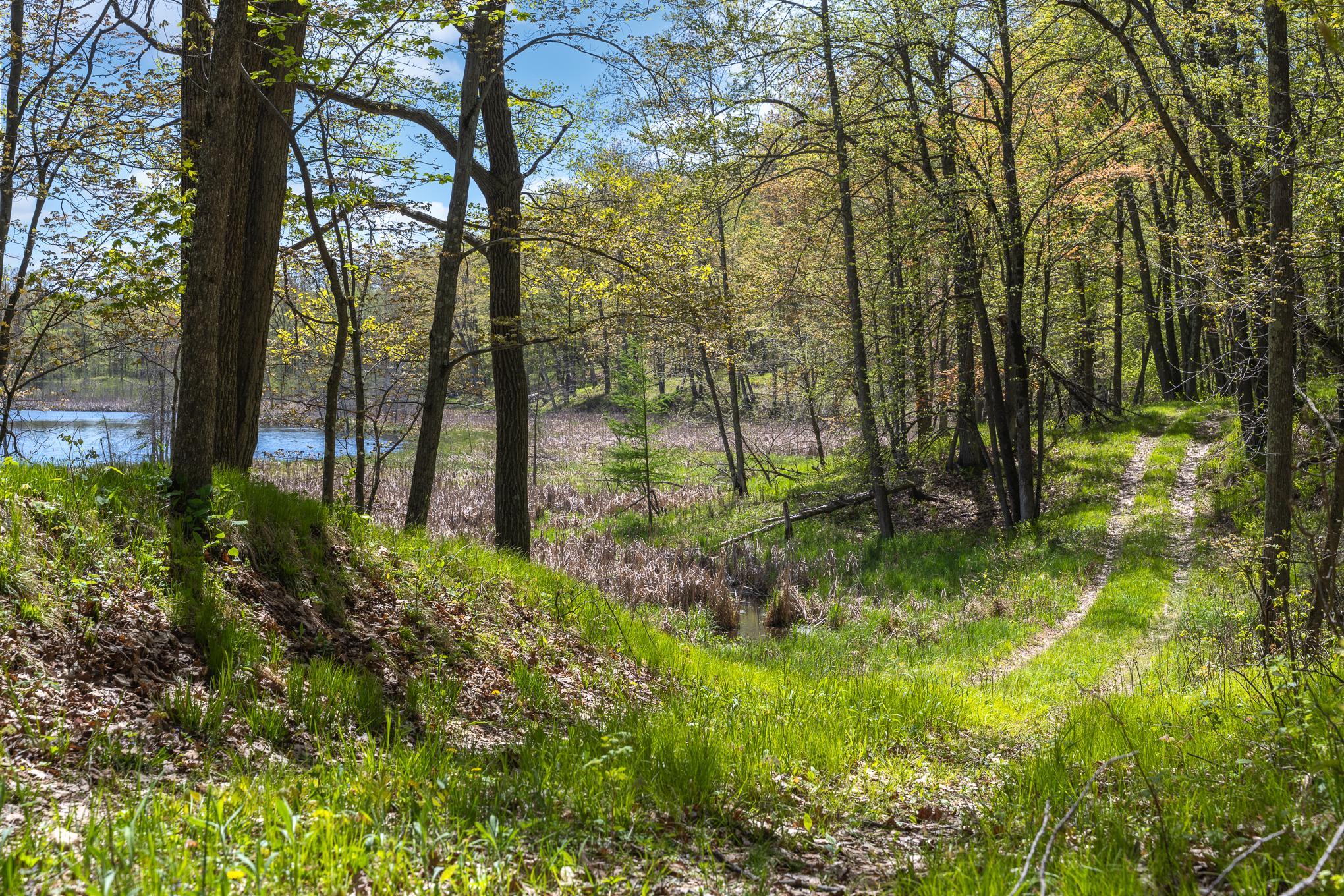 Homes for sale in Balsam Lake, WI | Tbd 170Th Ave/Cty Rd I, Balsam Lake, WI 54810 | MLS# 7079135