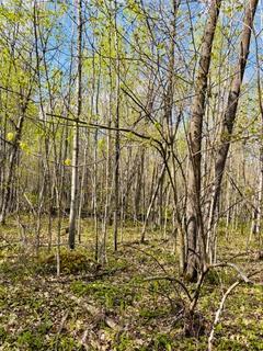 27th image of 43056 County 45, Laporte, MN 56461 | MLS# 7079380