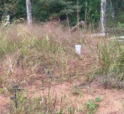 4th image of 21030 Cemetery Rd, Grantsburg, WI 54840 | MLS# 7081753
