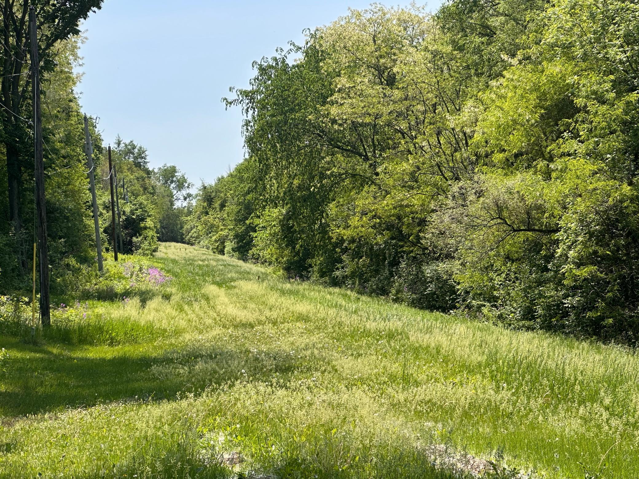 1st image of Tbd Pullman Ave, Saint Paul Park, MN 55071 | MLS# 7082201