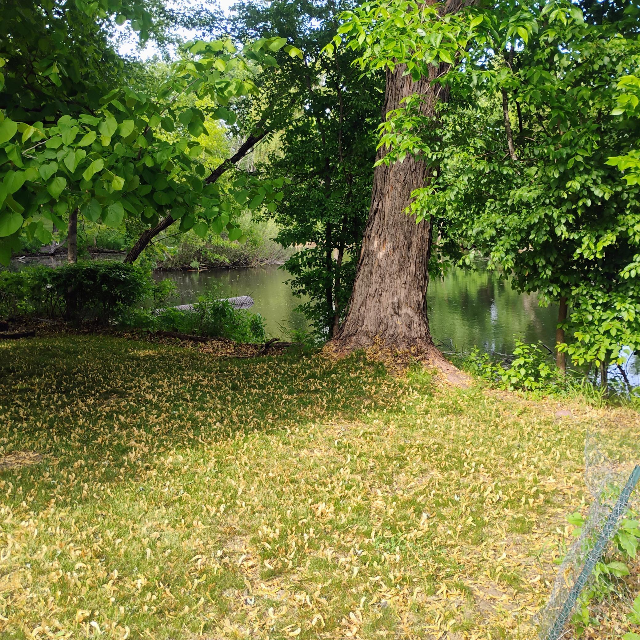 5th image of 876 Pearl View Dr, Sauk Rapids, MN 56379 | MLS# 7082473