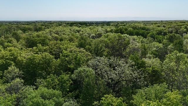 Homes for sale in Wahkon, MN | Tbd Lakeshore Boulevard, Wahkon, MN 56386 | MLS# 7082705