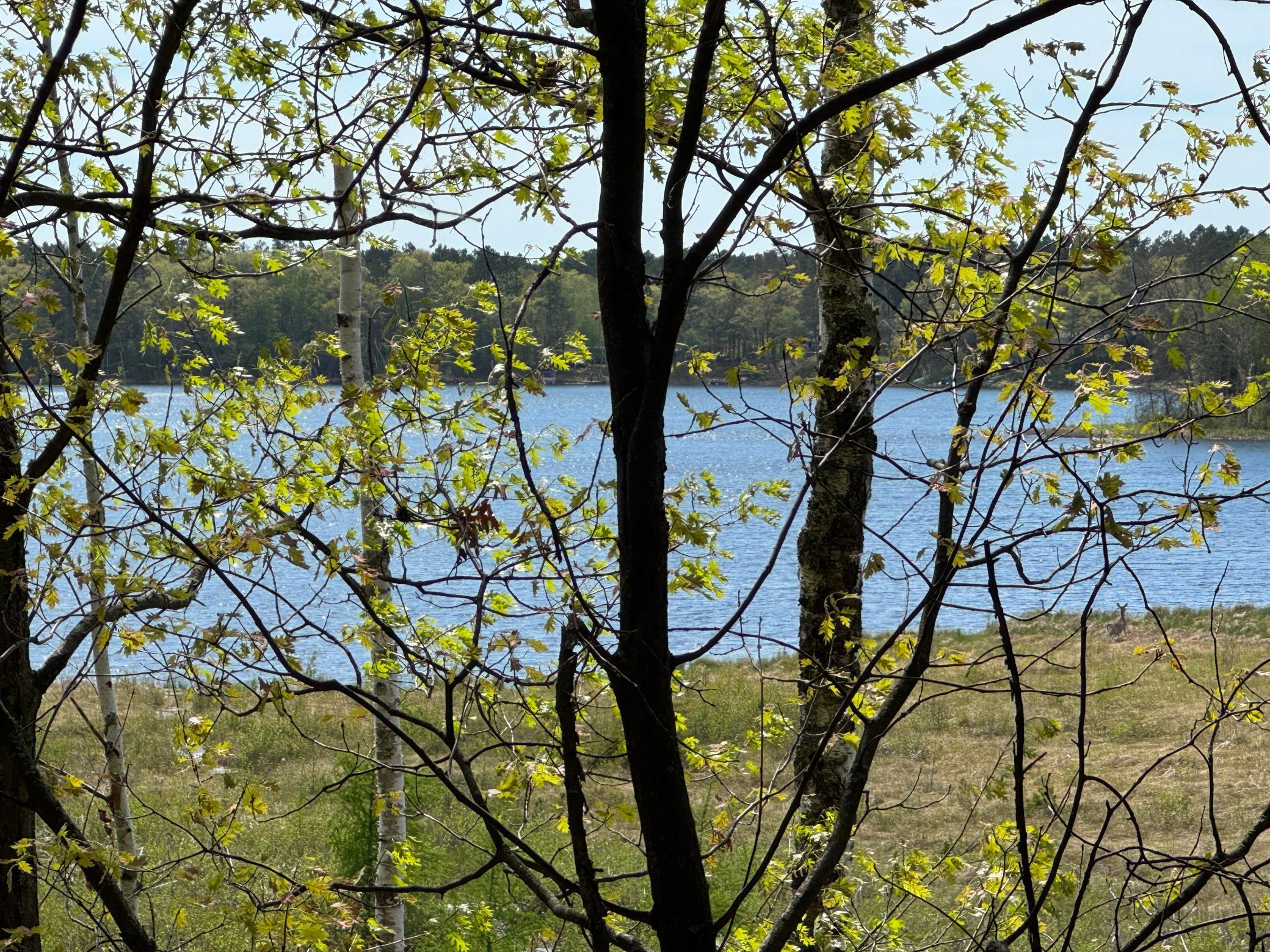 5th image of 86927 Cori Ln, Sturgeon Lake, MN 55783 | MLS# 7082802