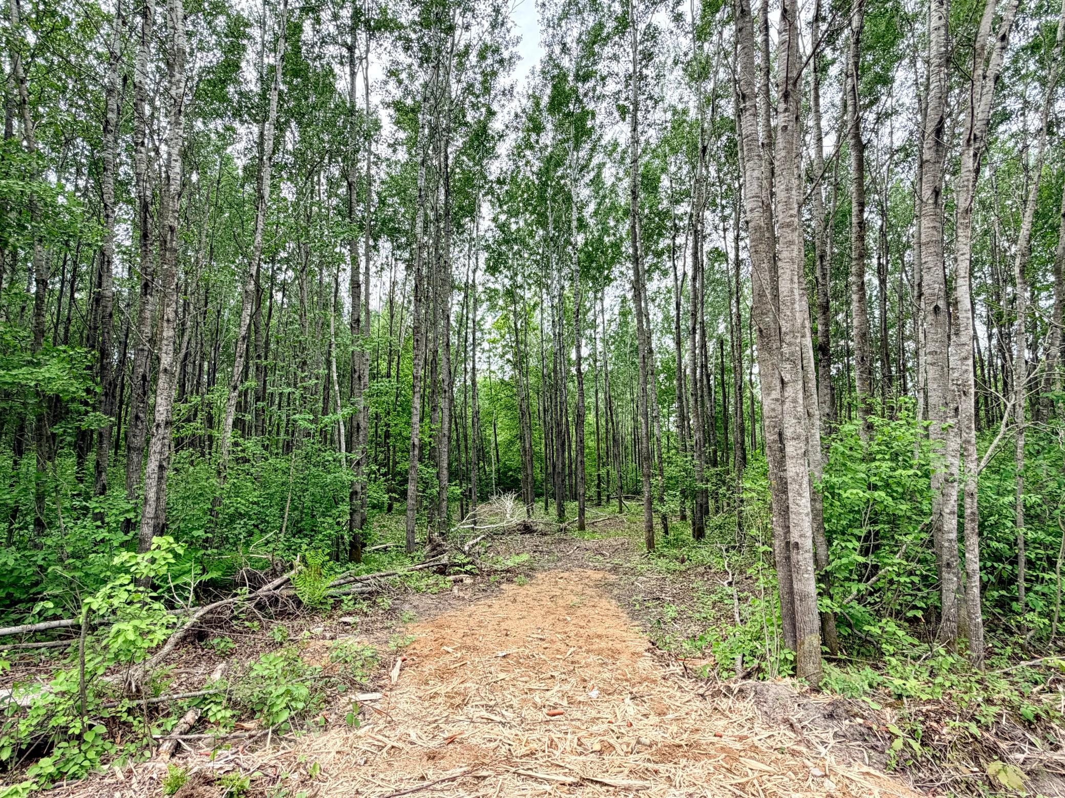 5th image of Tbd Half Moon Rd, Park Rapids, MN 56470 | MLS# 7085212