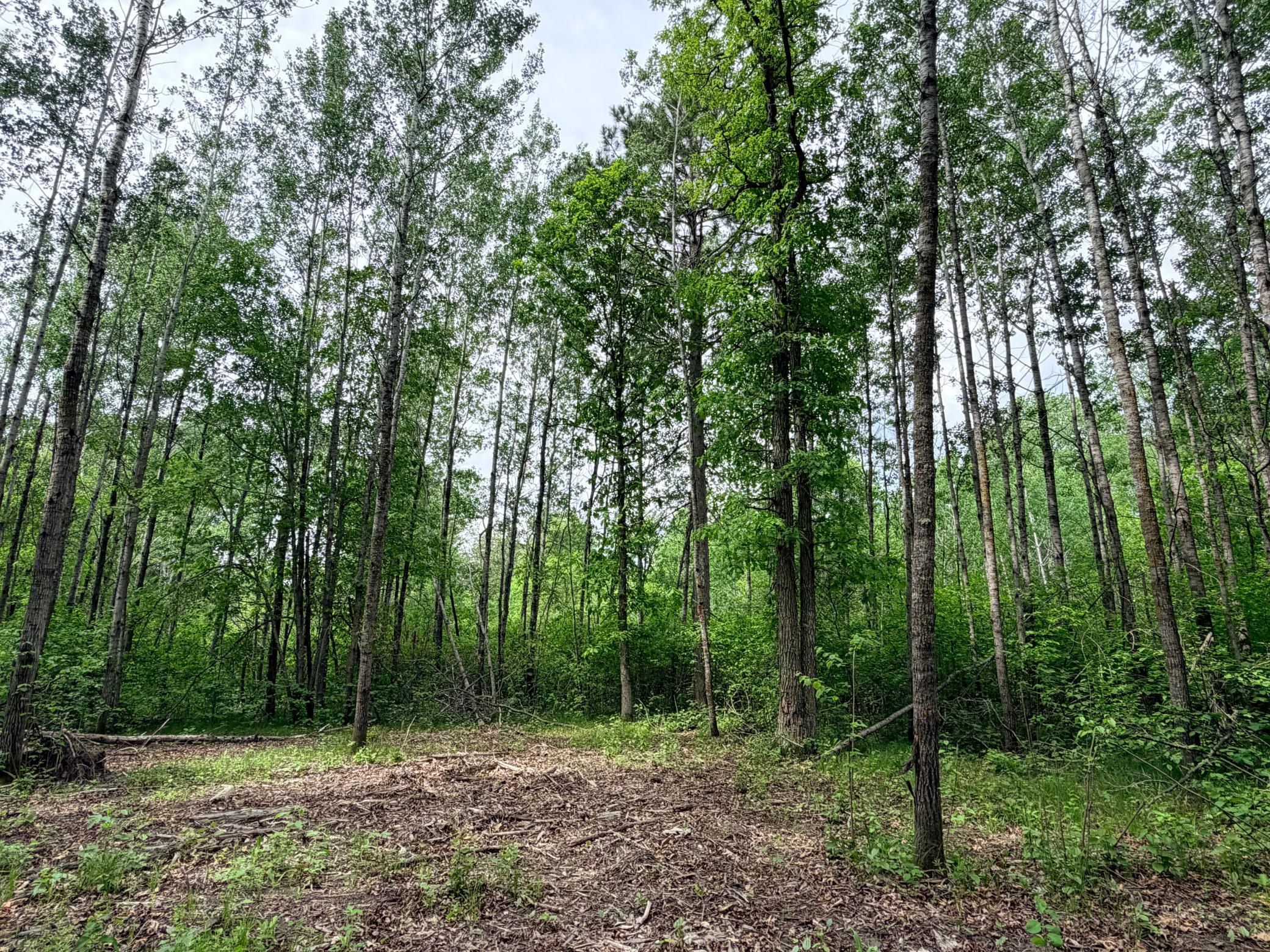 3rd image of Tbd Half Moon Rd, Park Rapids, MN 56470 | MLS# 7085212