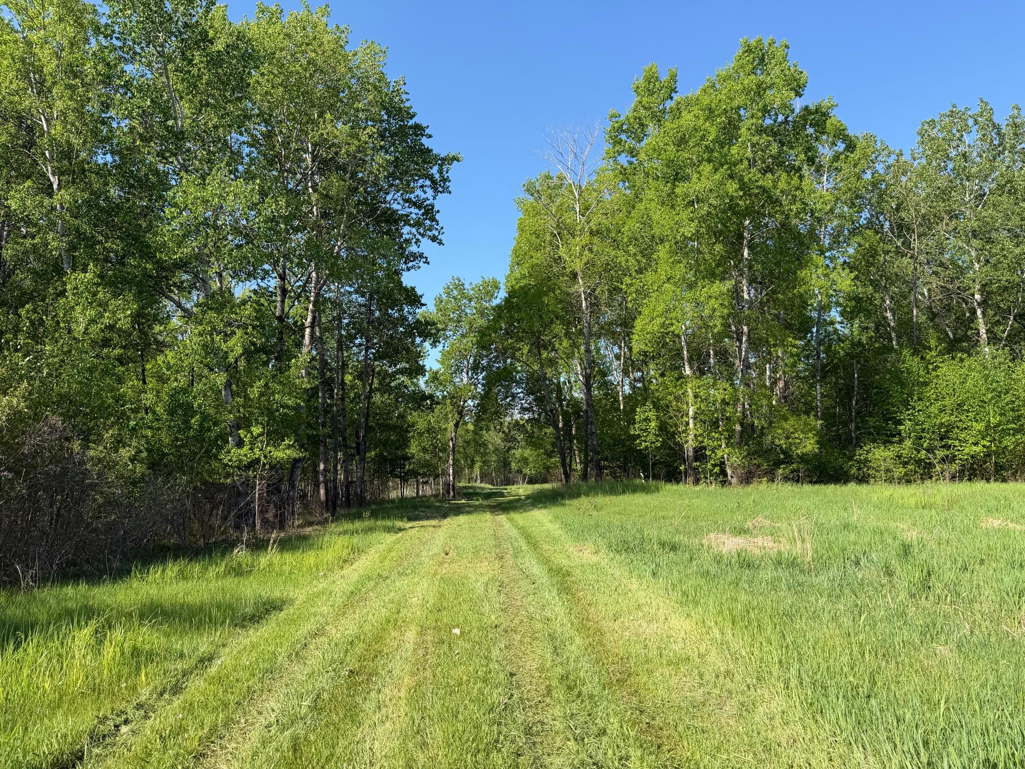 1st image of 54003 Dollar Lake Rd, Sandstone, MN 55072 | MLS# 7085590