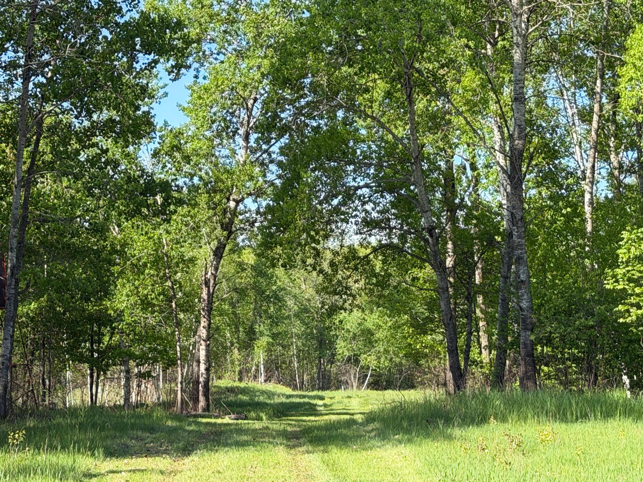 2nd image of 54003 Dollar Lake Rd, Sandstone, MN 55072 | MLS# 7085590