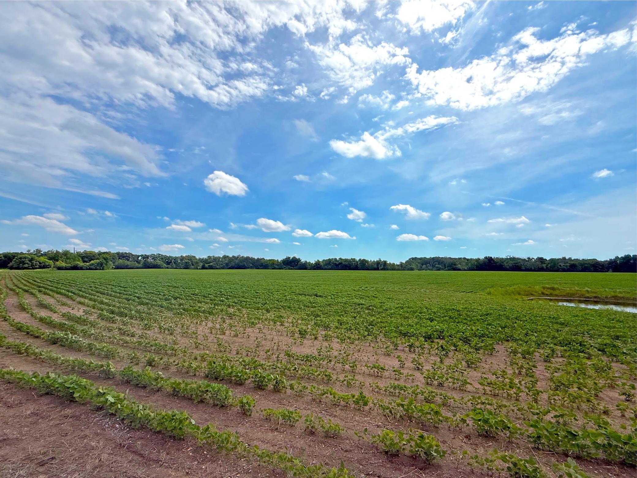94th image of 1383 120th St Ne, Monticello, MN 55362 | MLS# 7085664