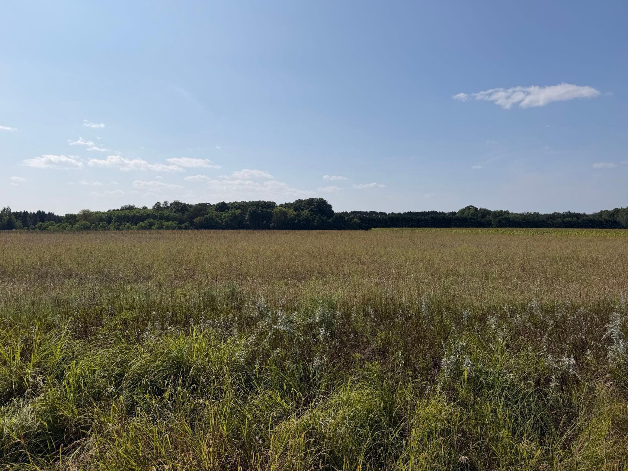 1st image of 34660 Grand Ave, Stacy, MN 55079 | MLS# 7086018