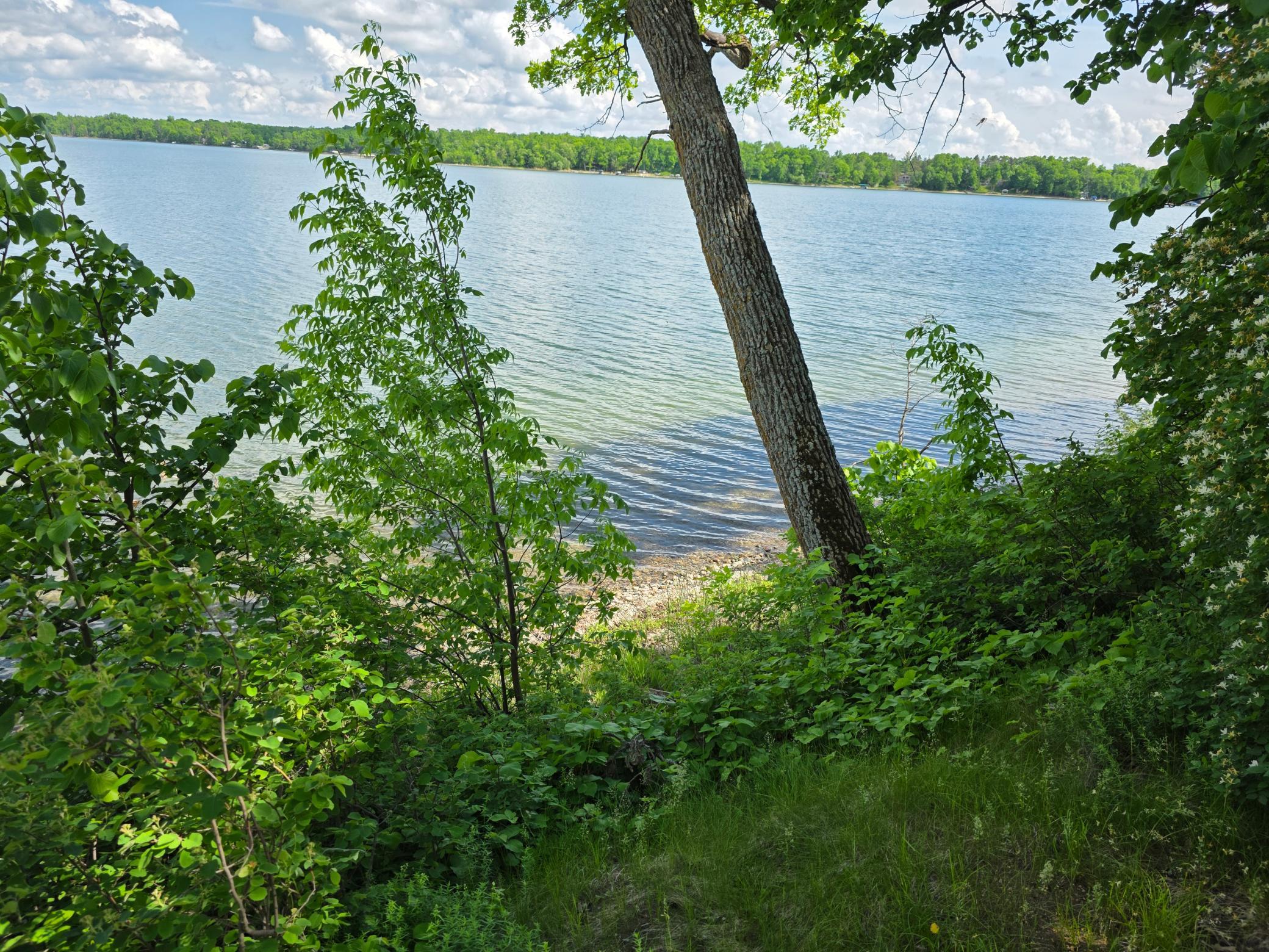 26th image of 20885 Leona Beach Rd, Rochert, MN 56578 | MLS# 7087064