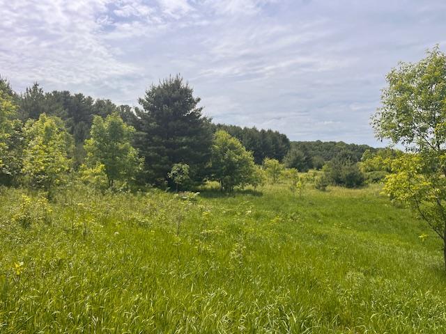 Homes for sale in Saint Croix Falls, WI | 21Xx 140Th Ave, Saint Croix Falls, WI 54024 | MLS# 7087176