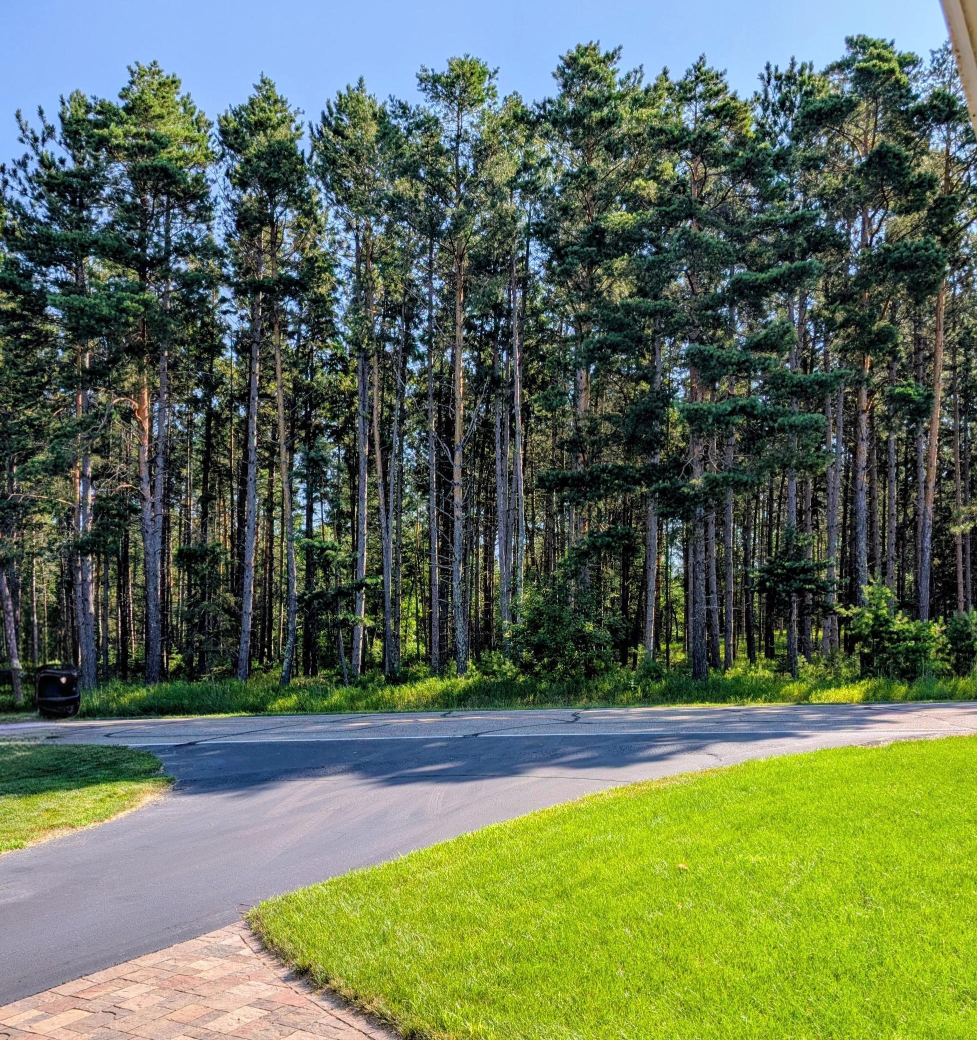 91st image of 5625 Lavinia Rd Ne, Bemidji, MN 56601 | MLS# 7088791