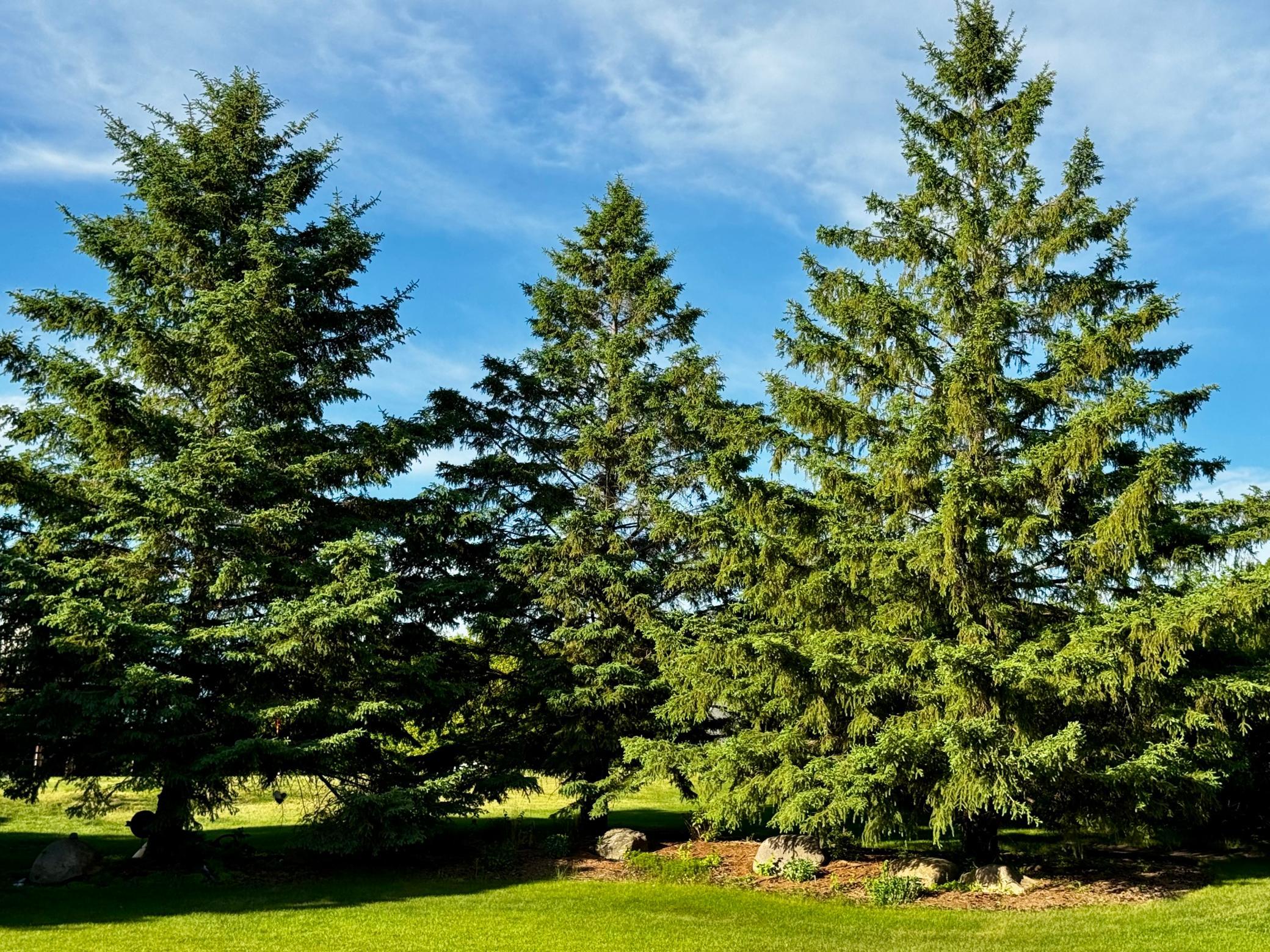 43rd image of 2441 Highland Trl Sw, Alexandria, MN 56308 | MLS# 7088934