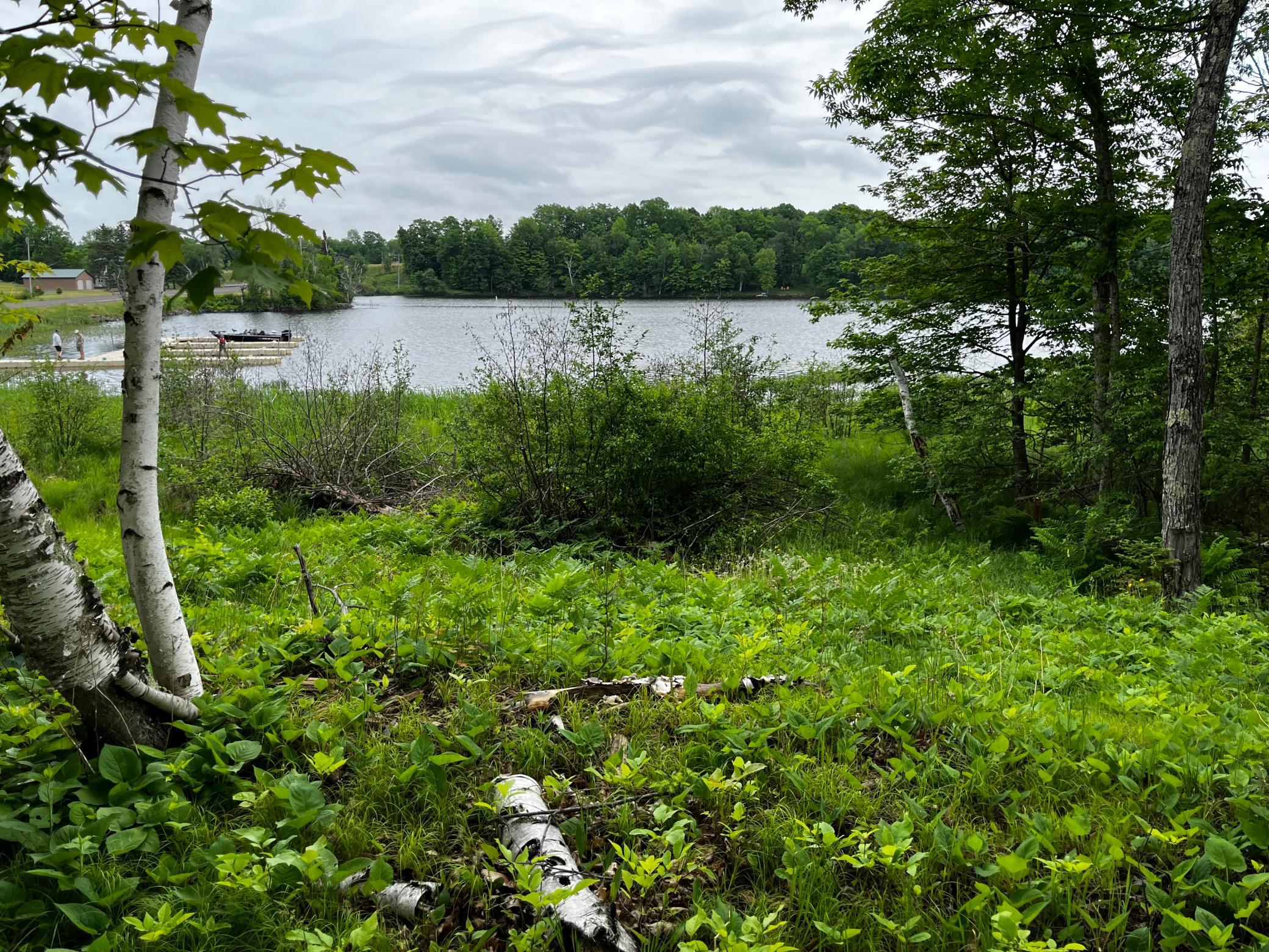 Homes for sale in Cable, WI | 45105 County Hwy D, Cable, WI 54821 | MLS# 7089329