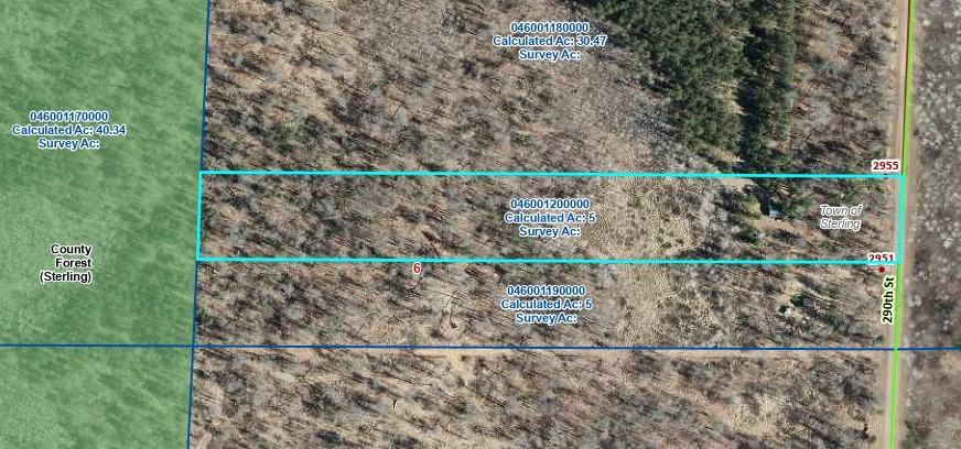 Homes for sale in Cushing, WI | 2955 290th St, Cushing, WI 54006 | MLS# 7089372
