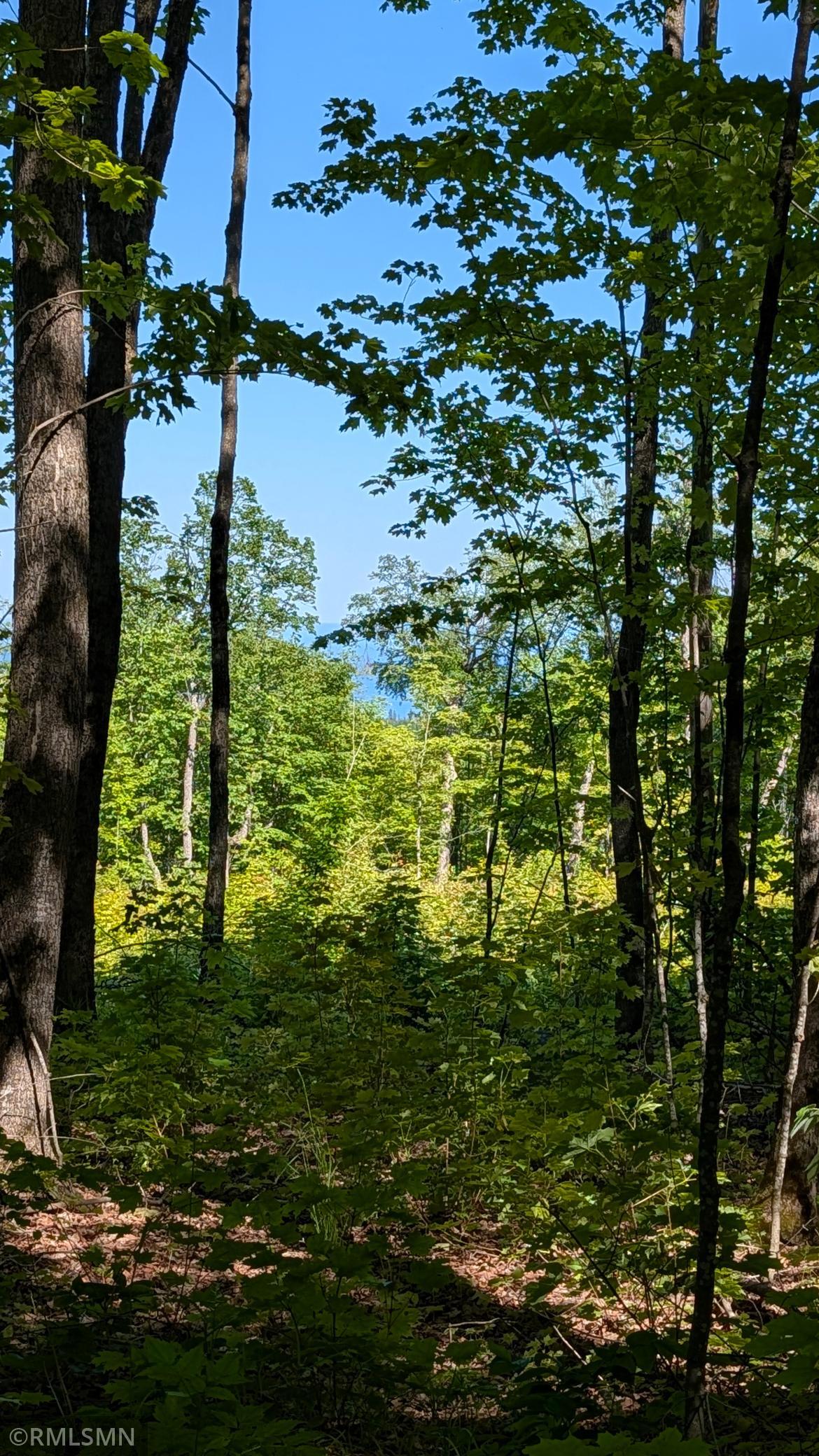 2nd image of 4995 Mount Rockwood Rd, Silver Bay, MN 55614 | MLS# 7090157