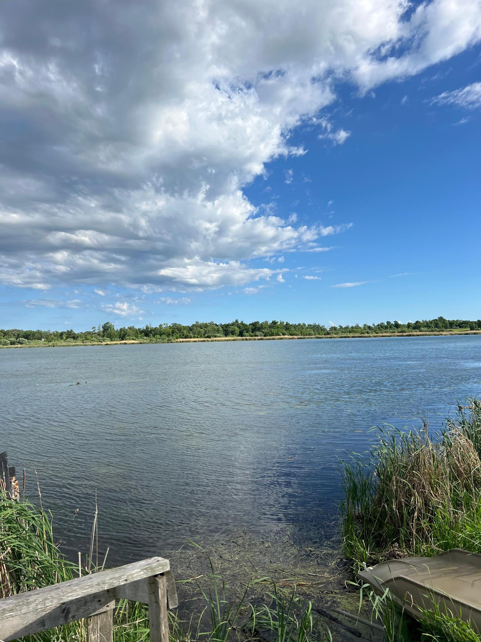 1st image of 43xxx Inlet Estates Trl, Ottertail, MN 56571 | MLS# 7090846