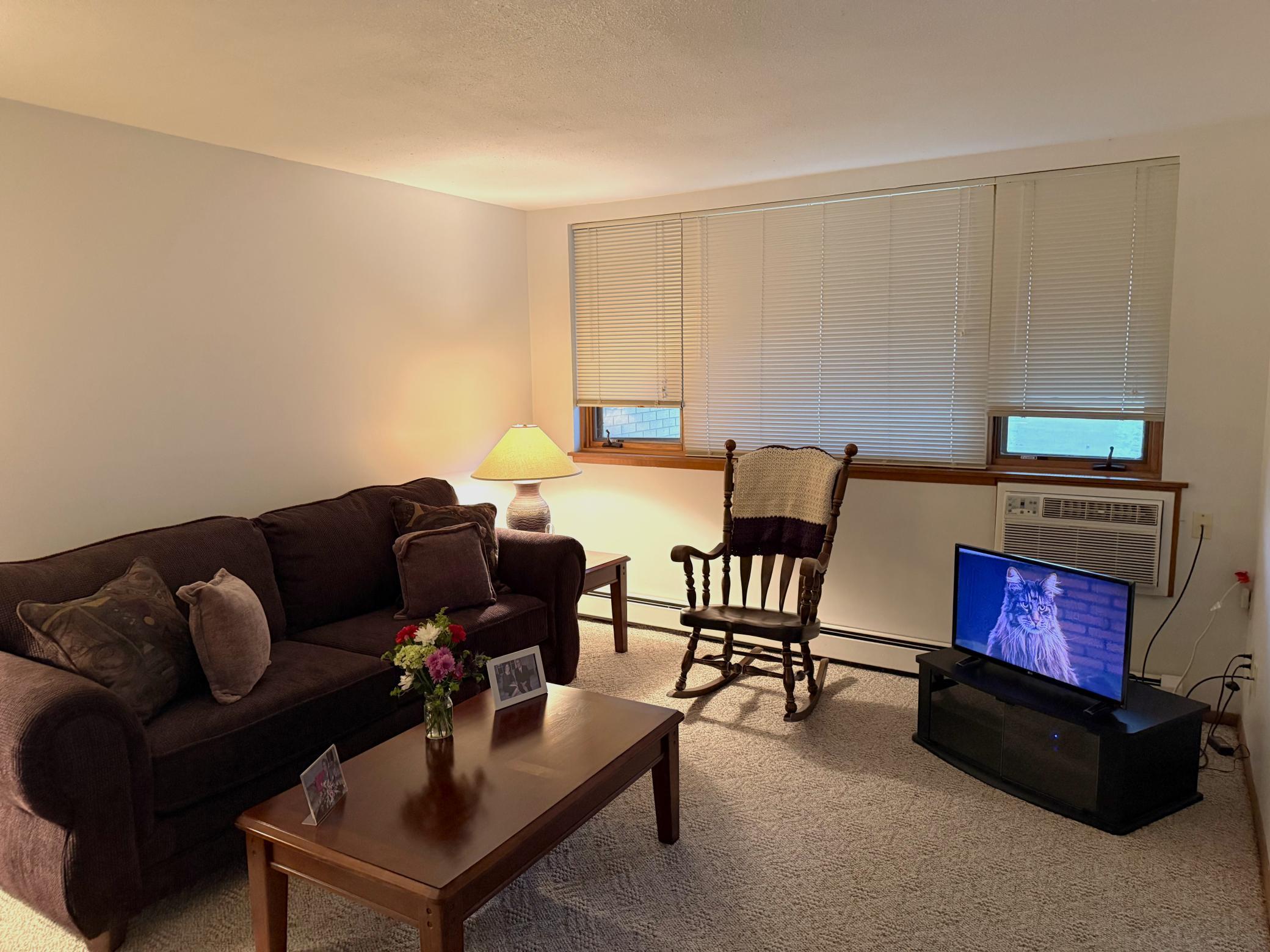 Homes for sale in Rochester, MN | 1911 Viking Dr Nw #11, Rochester, MN 55901 | MLS# 7091217