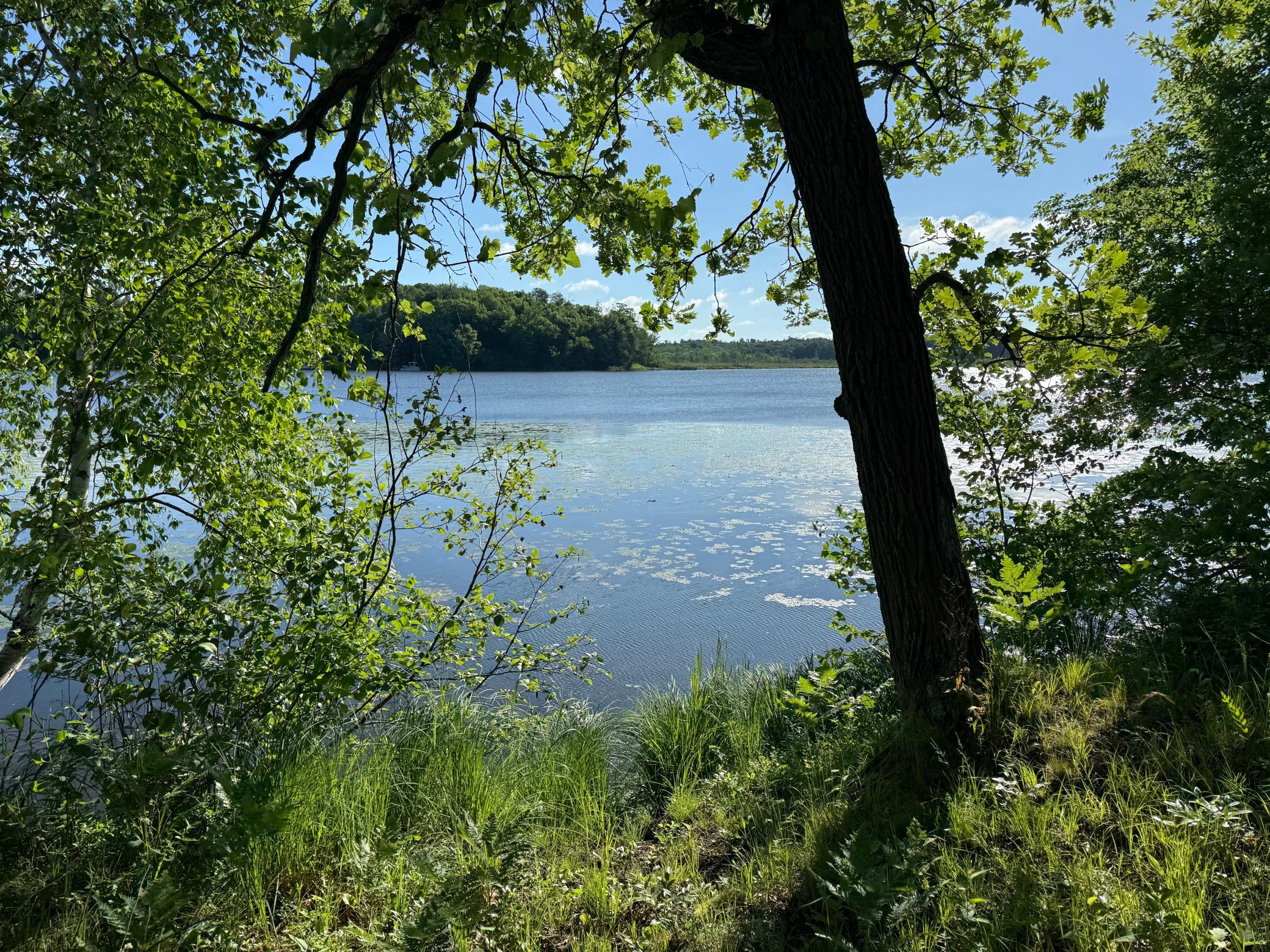 Homes for sale in Shell Lake, WI | Tbd Sathre Ln, Shell Lake, WI 54871 | MLS# 7091688