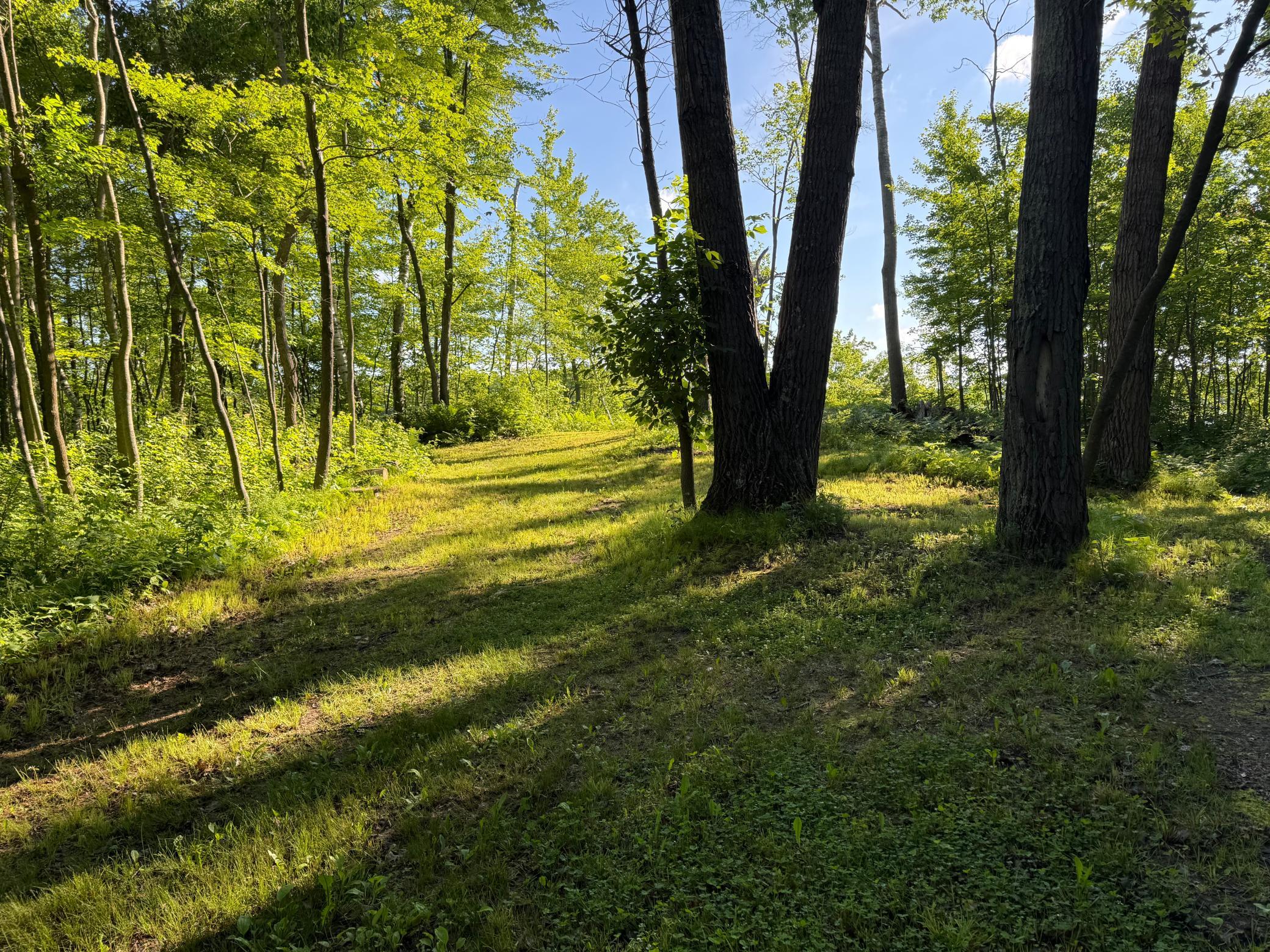 Homes for sale in Shell Lake, WI | Tbd Sathre Ln, Shell Lake, WI 54871 | MLS# 7091688