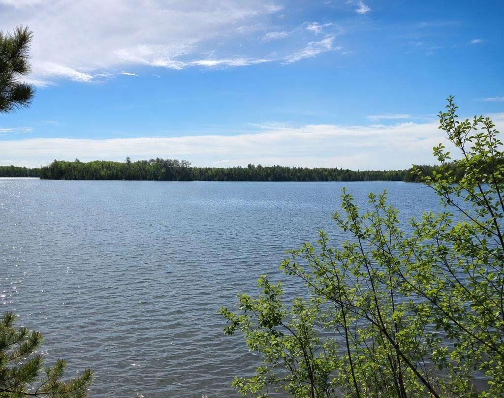 52nd image of 51946 N Wasson Lake Rd, Bigfork, MN 56628 | MLS# 7092372