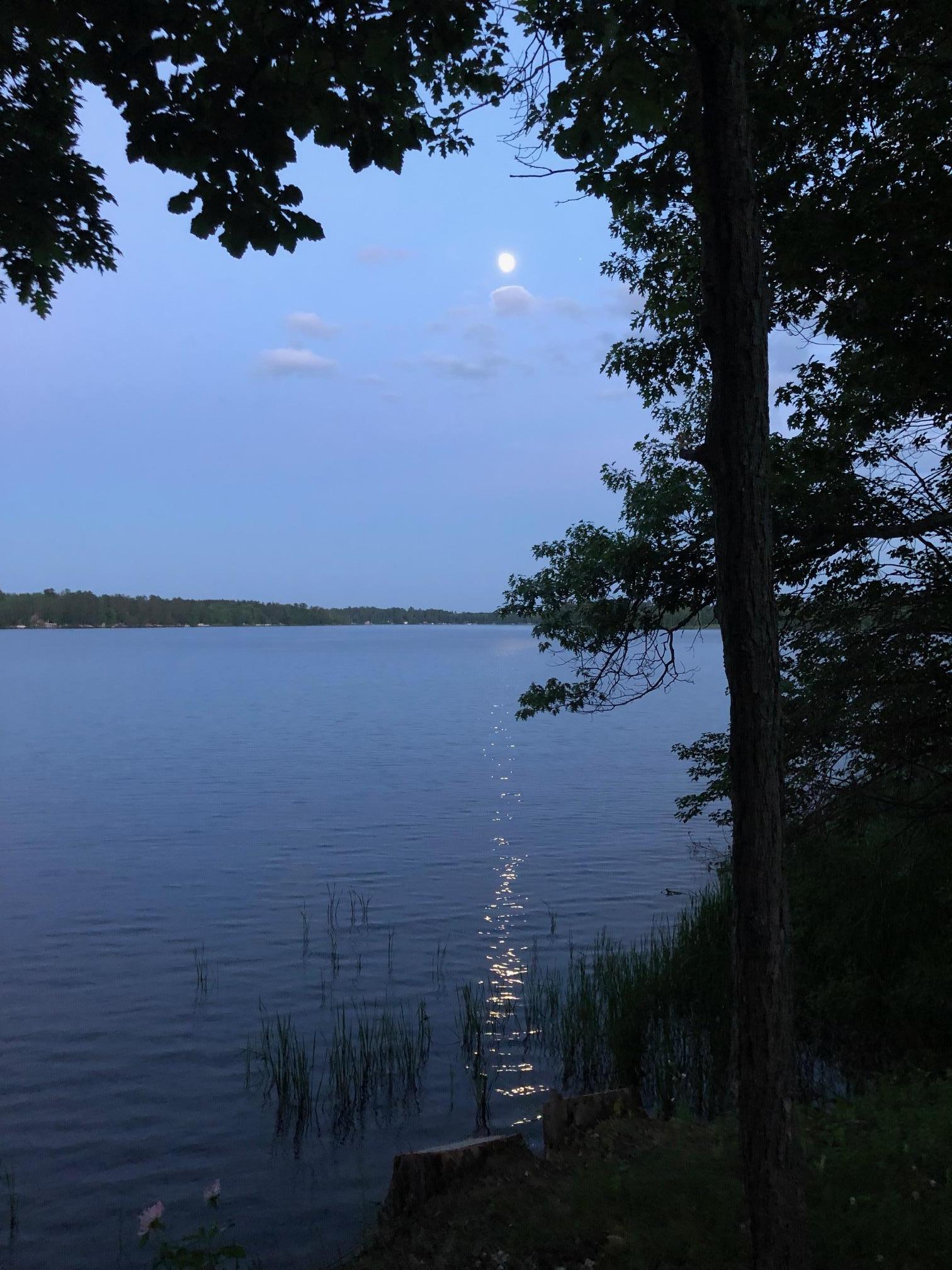 54th image of 4826 Lazy Pine Rd, Moose Lake, MN 55767 | MLS# 7093859