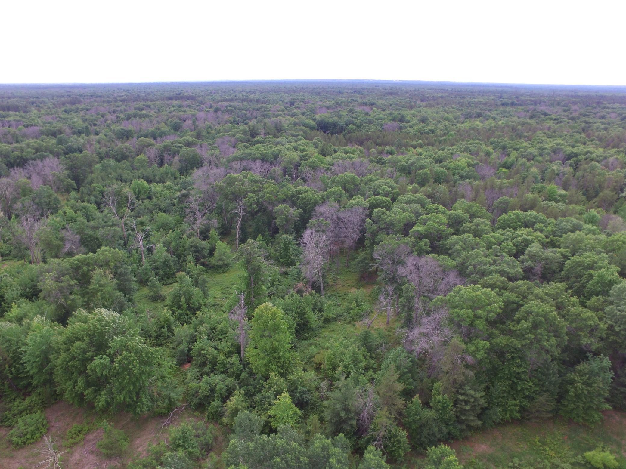 5th image of 25385 Spaulding Rd, Grantsburg, WI 54840 | MLS# 7095338