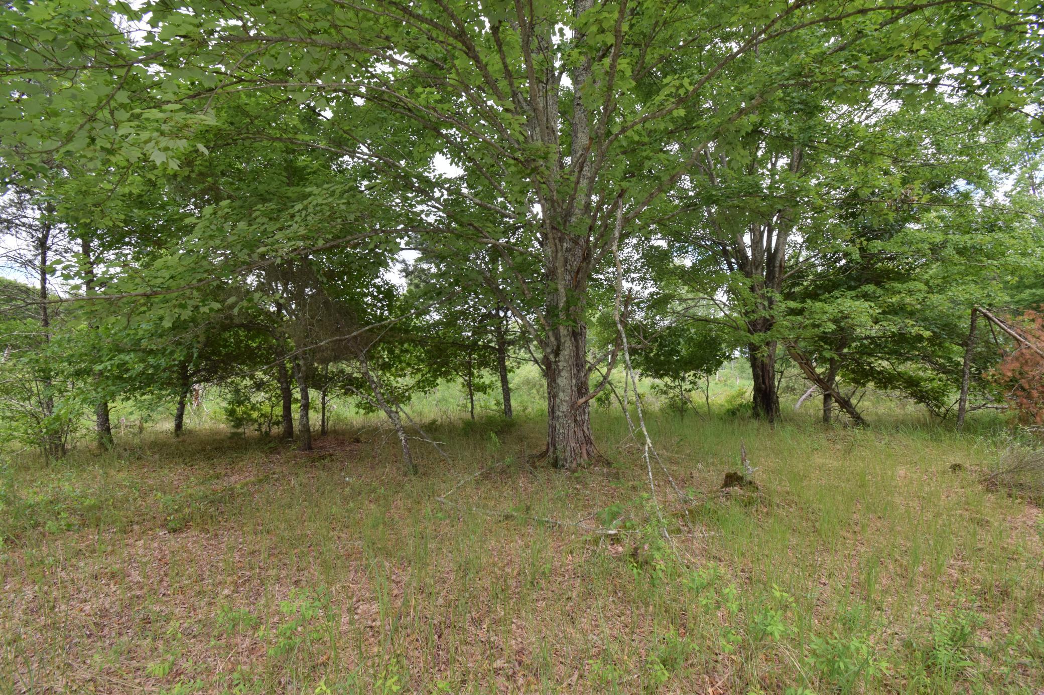 4th image of 25385 Spaulding Rd, Grantsburg, WI 54840 | MLS# 7095338