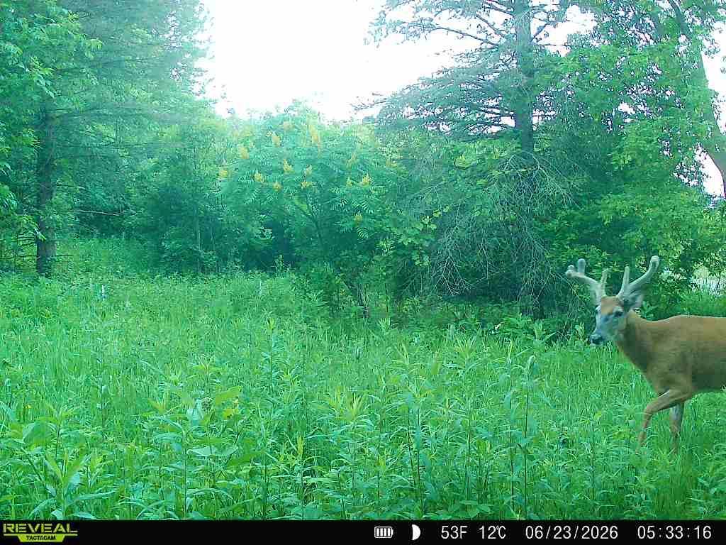 26th image of Tbd 50th St W, Webster, MN 55088 | MLS# 7095809