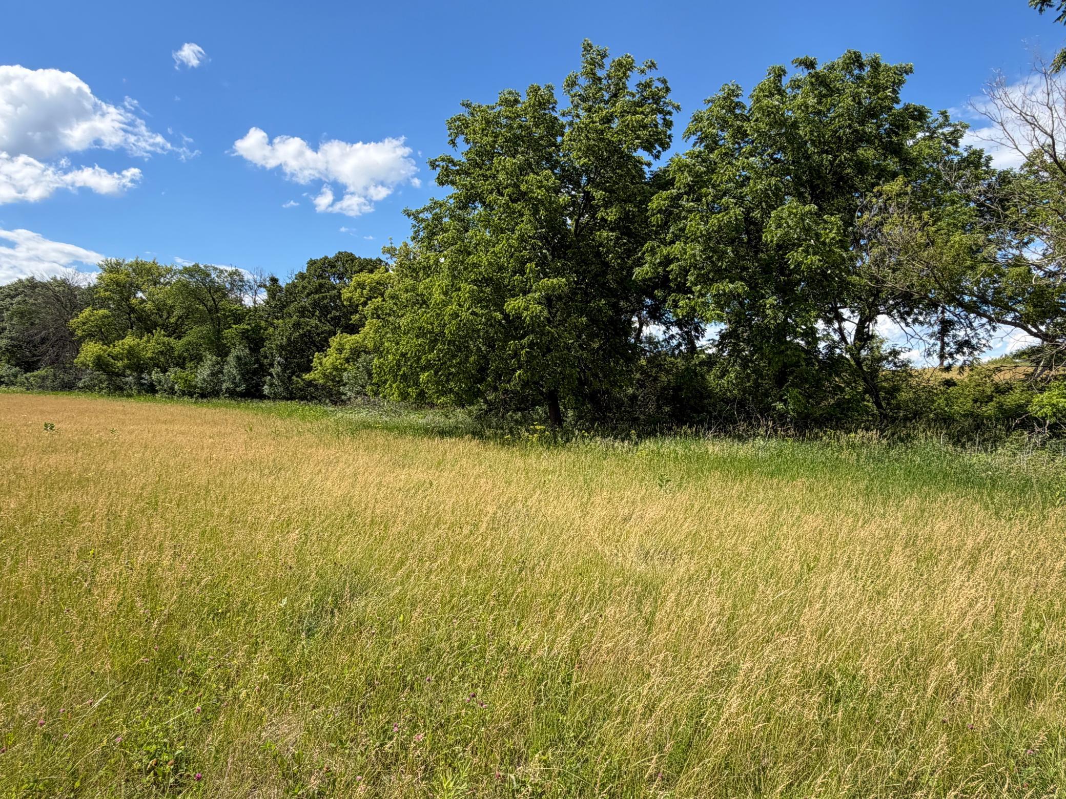 5th image of Tbd 48Th St Ne, Rochester, MN 55906 | MLS# 7095863