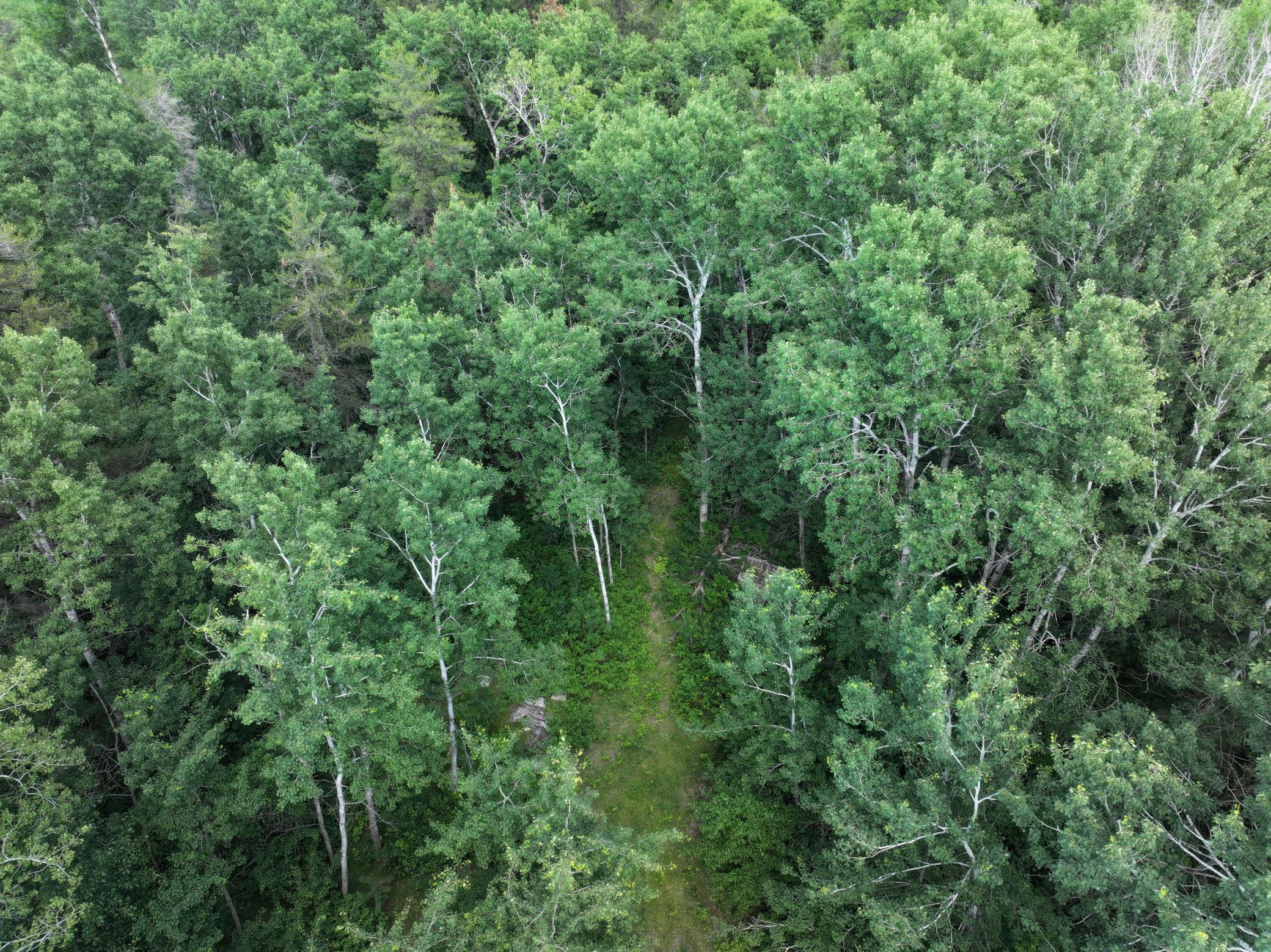5th image of 18704 370Th St, Menahga, MN 56464 | MLS# 7096547