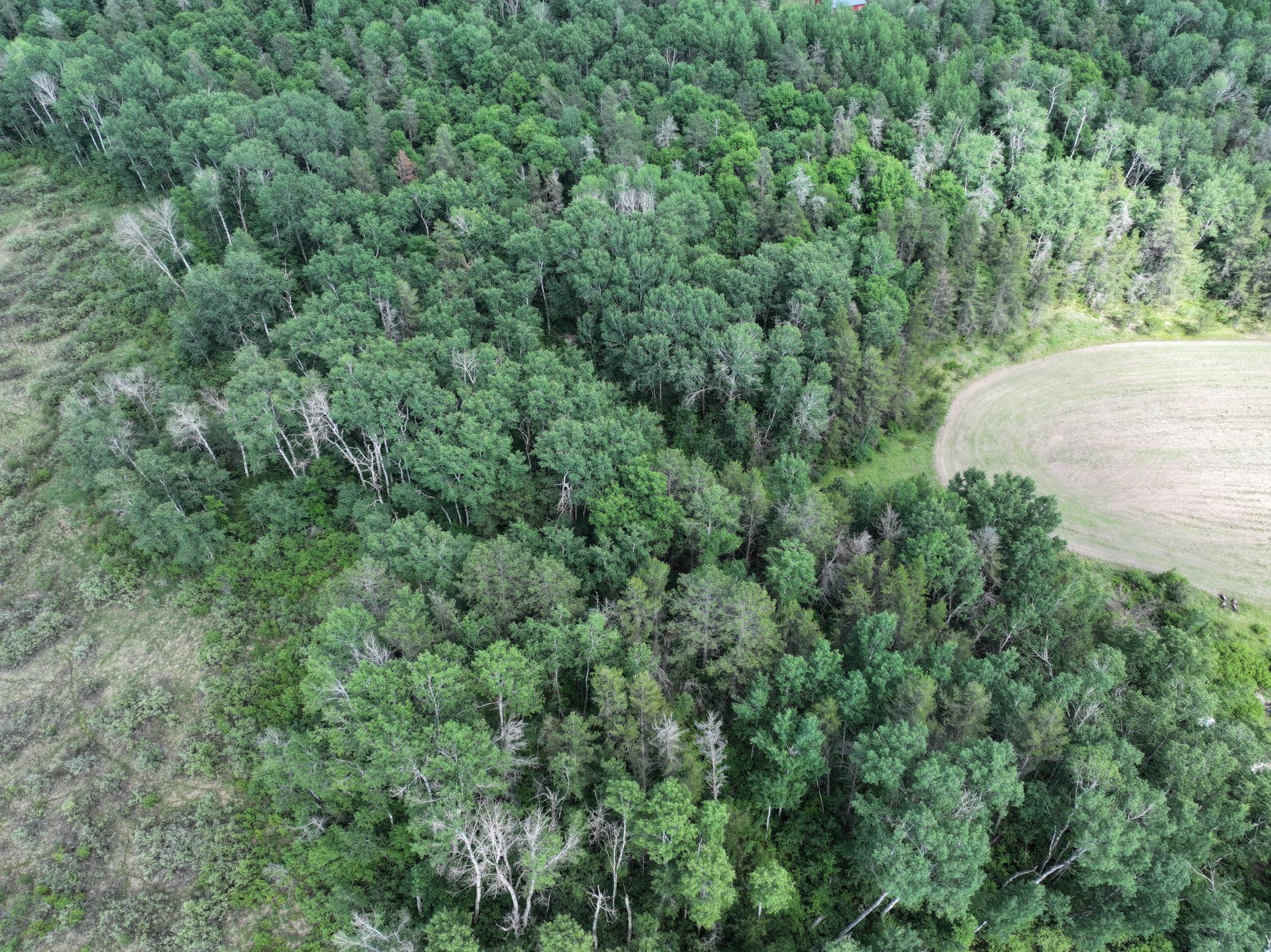 4th image of 18704 370Th St, Menahga, MN 56464 | MLS# 7096547