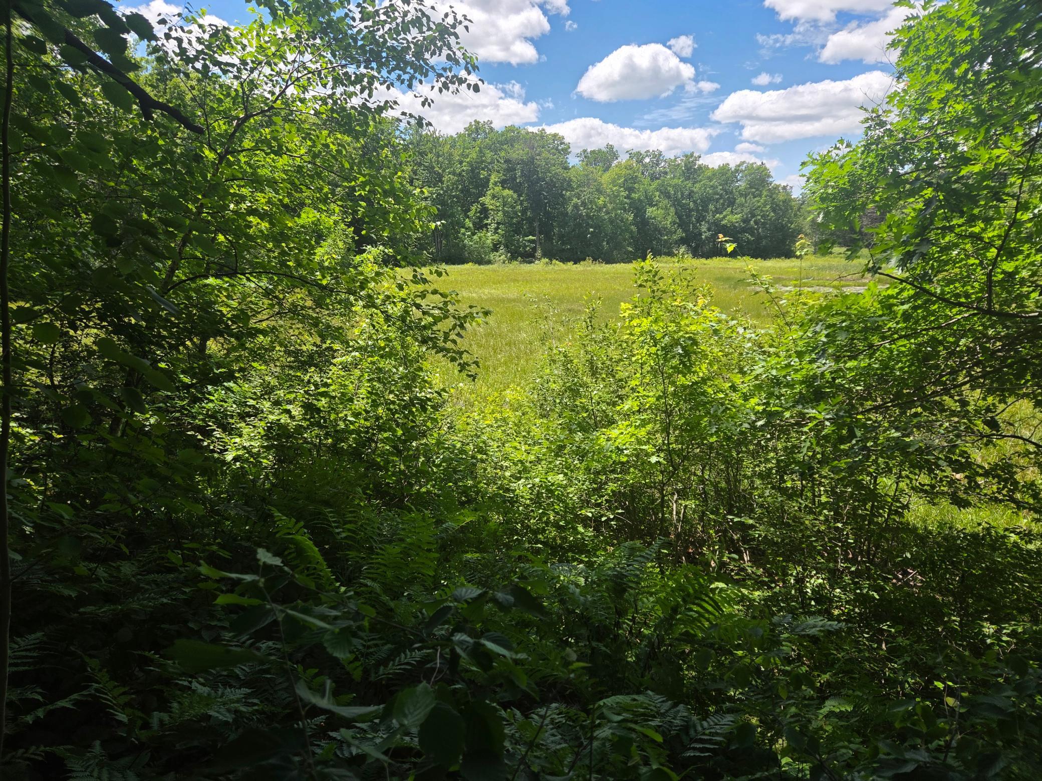 4th image of Tbd County Rd G, Comstock, WI 54826 | MLS# 7097797