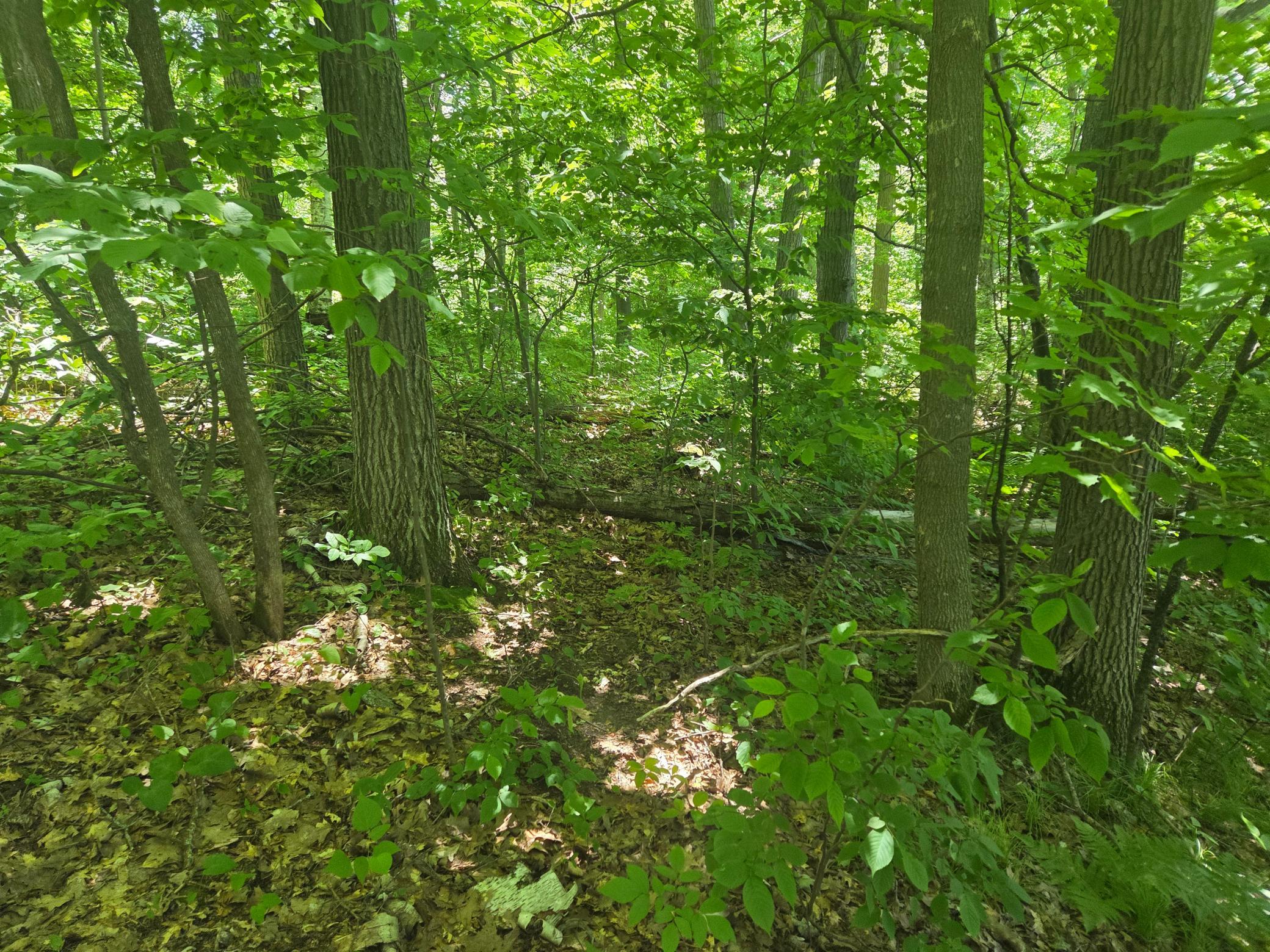 5th image of Tbd County Rd G, Comstock, WI 54826 | MLS# 7097797