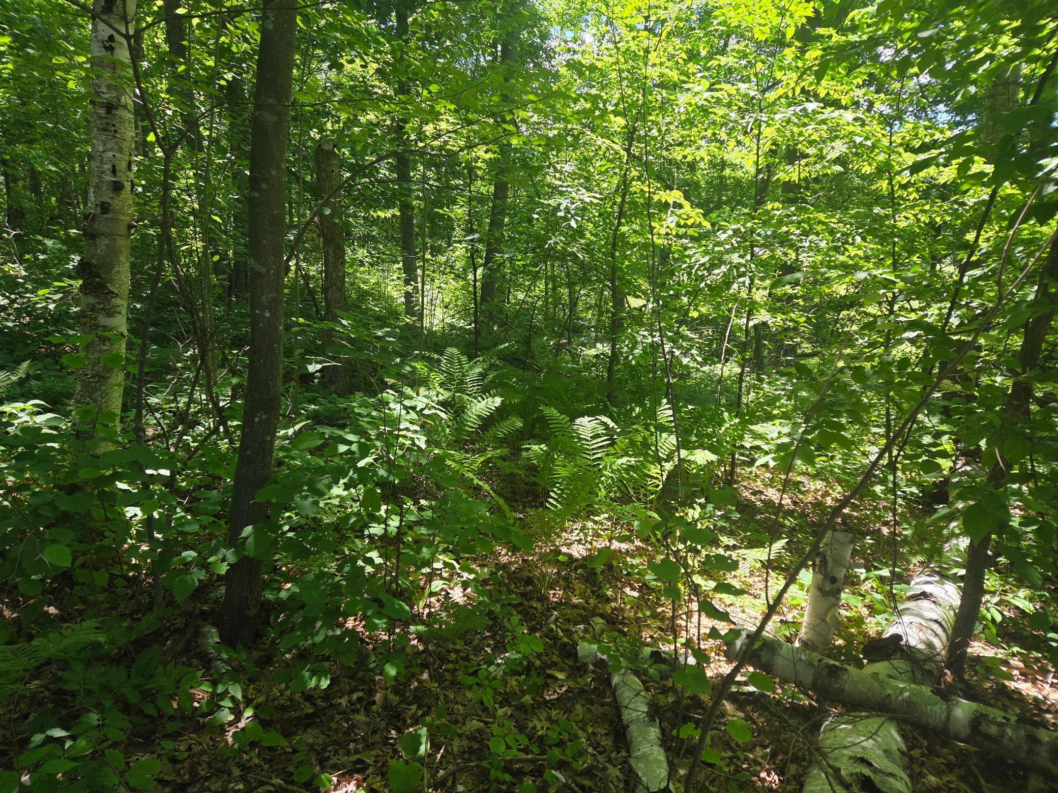 2nd image of Tbd County Rd G, Comstock, WI 54826 | MLS# 7097797